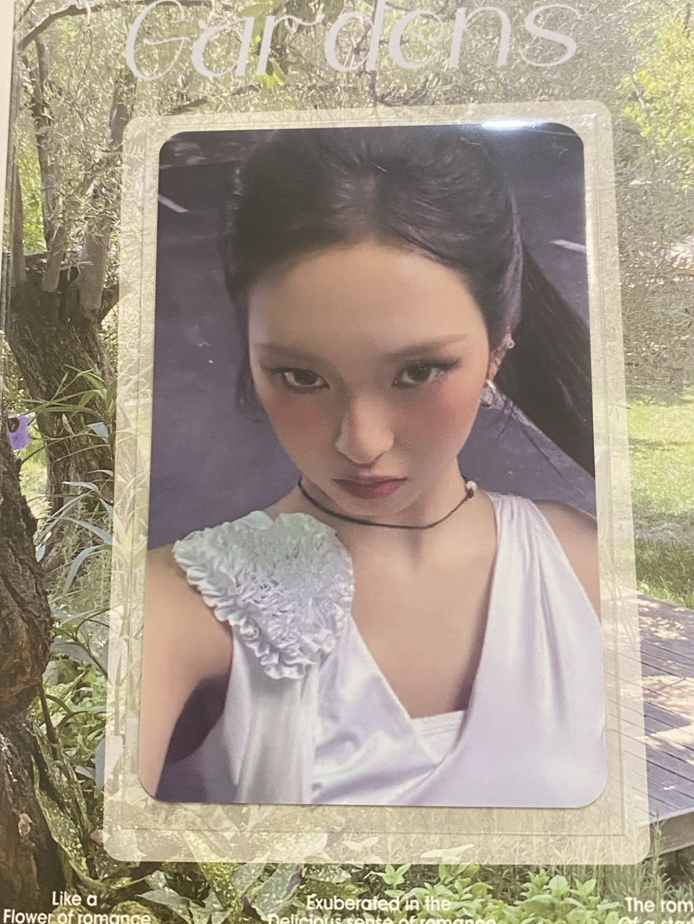 Chiquita / 25世巡 周邊卡 亞巡PVC 卡包卡