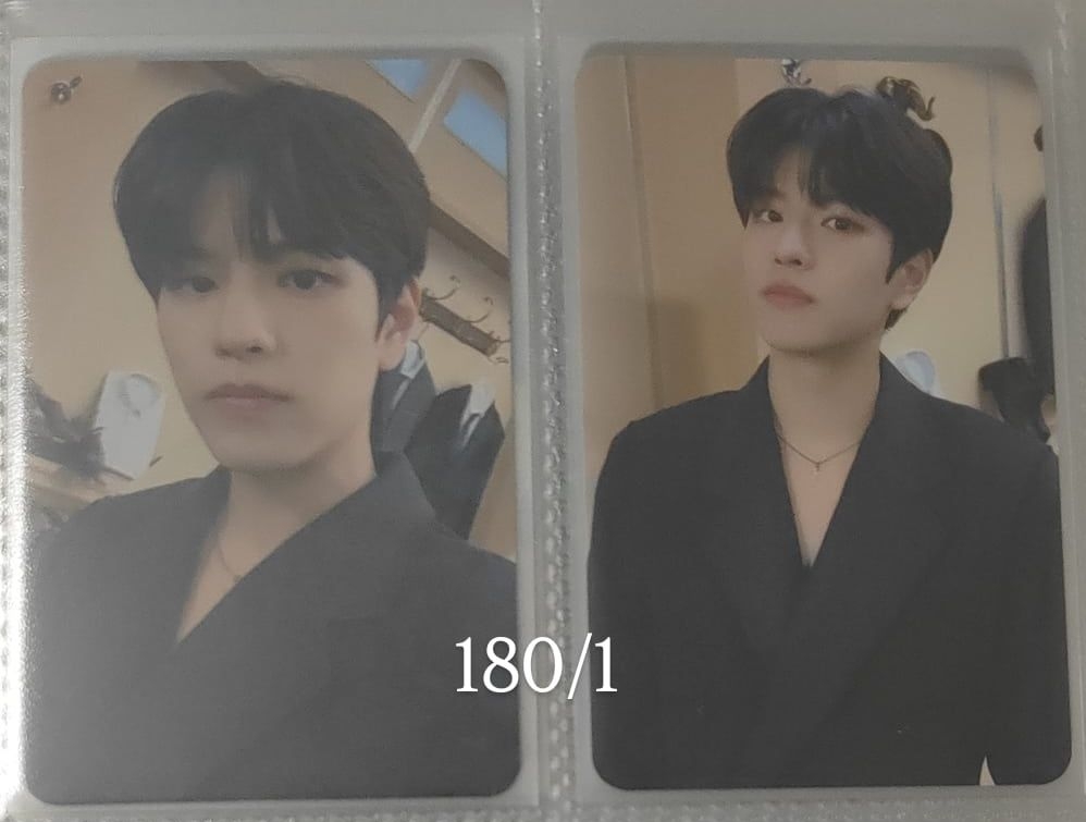 穿深V但沒胸肌可以露的小狗