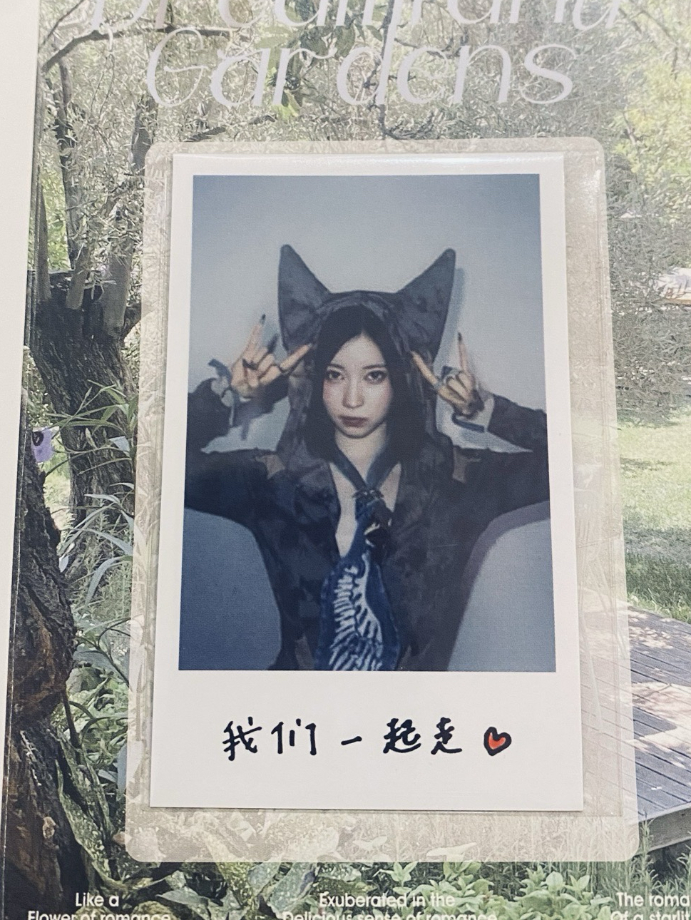 Asa / WE GO UP wvs 中區預售 特典卡 中背