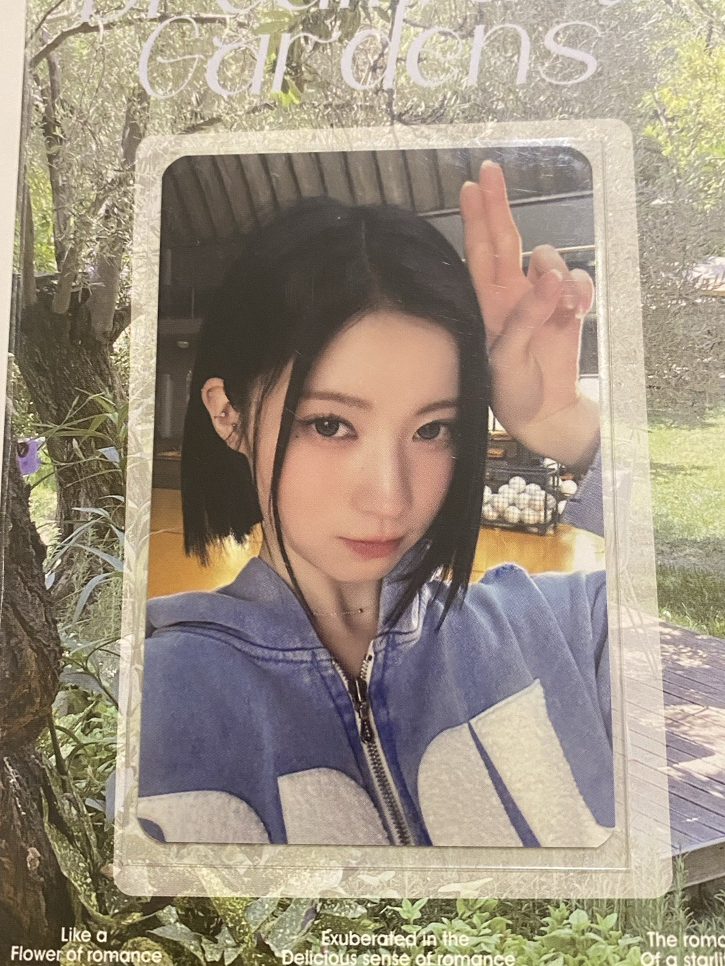 Asa / 25世巡 相框卡 周邊卡 