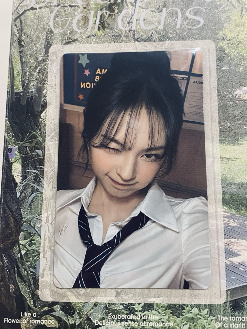 Chiquita / DRIP wvs 幸運卡 白色情人節 Ver.A