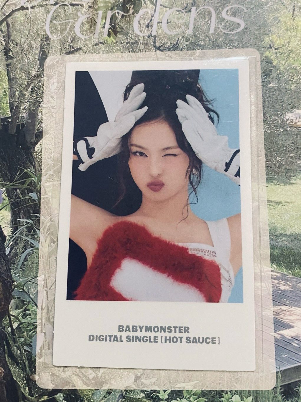 Chiquita / HOT SAUCE wvs 官拍 幸運卡 