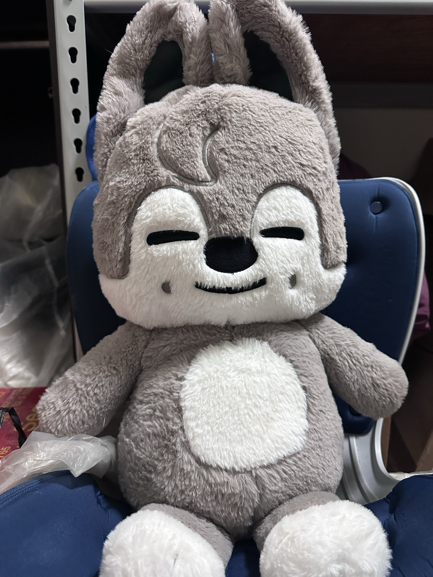 燦狼泰迪娃 3700綁6500 請看商品資訊後下單