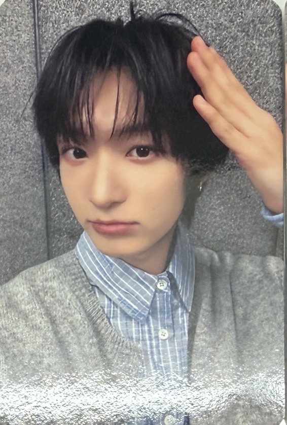 迷三 MS 15.0 東花 摸摸頭