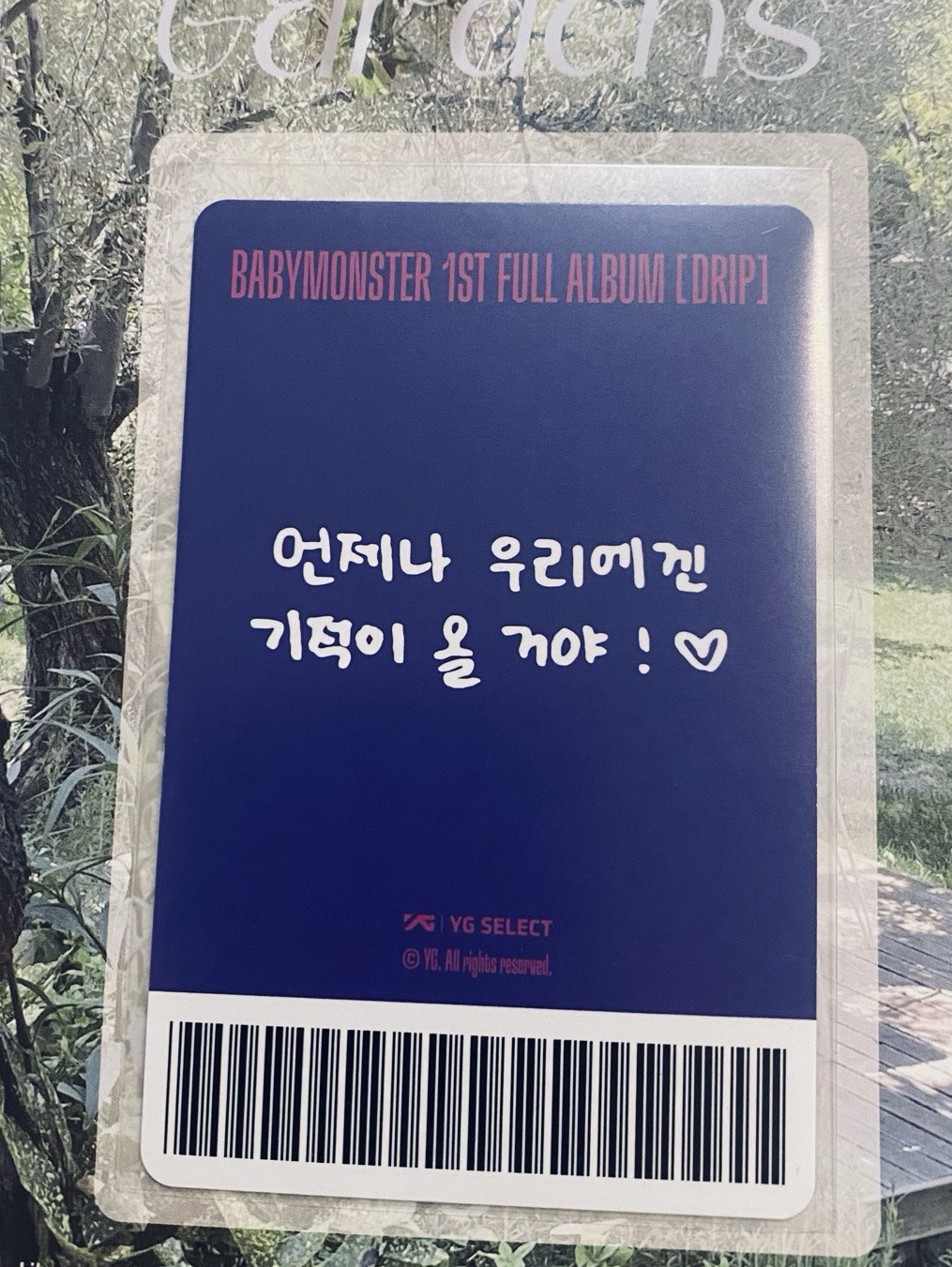 Rami / DRIP yg 特典卡 預售禮