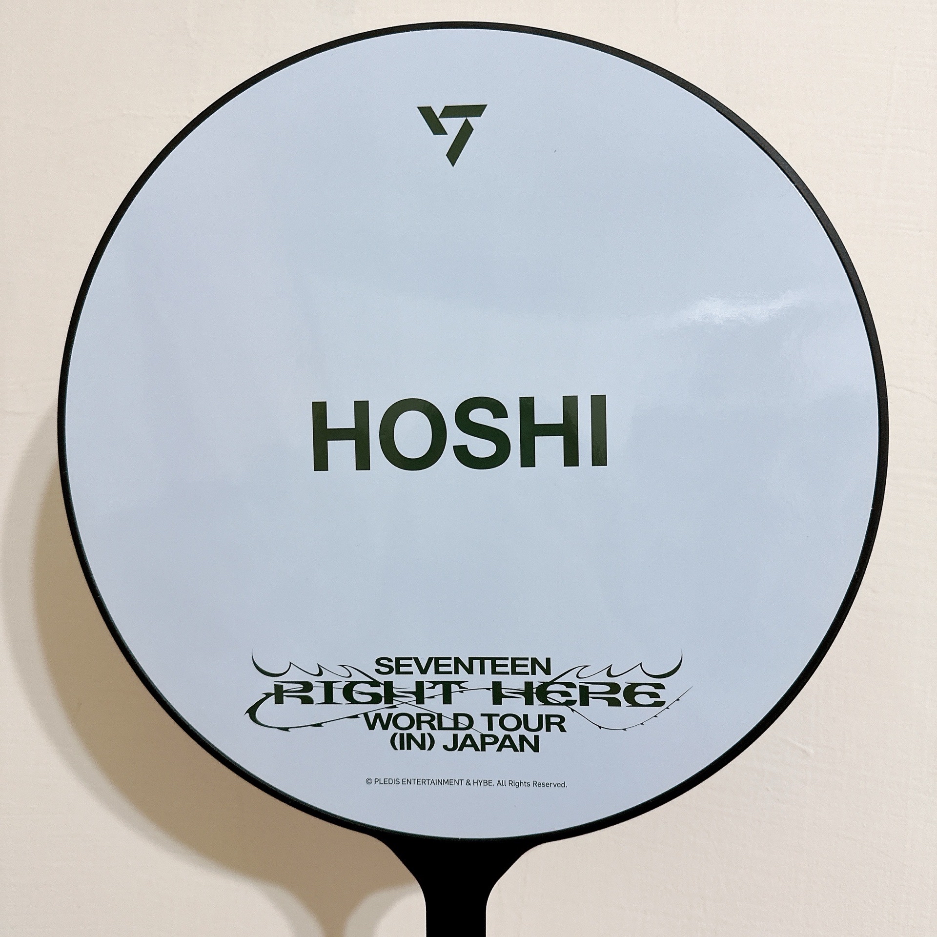 Seventeen 權順榮 大扇組