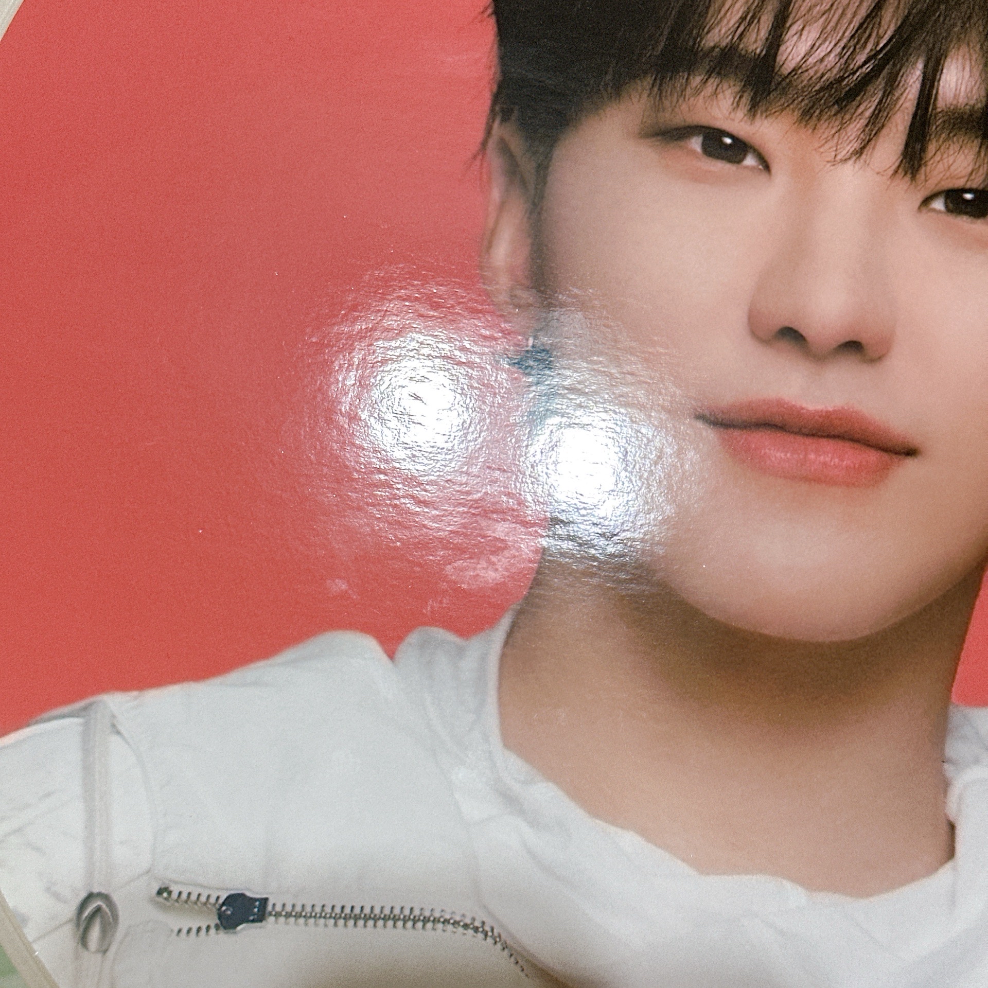 Seventeen 權順榮 大扇組