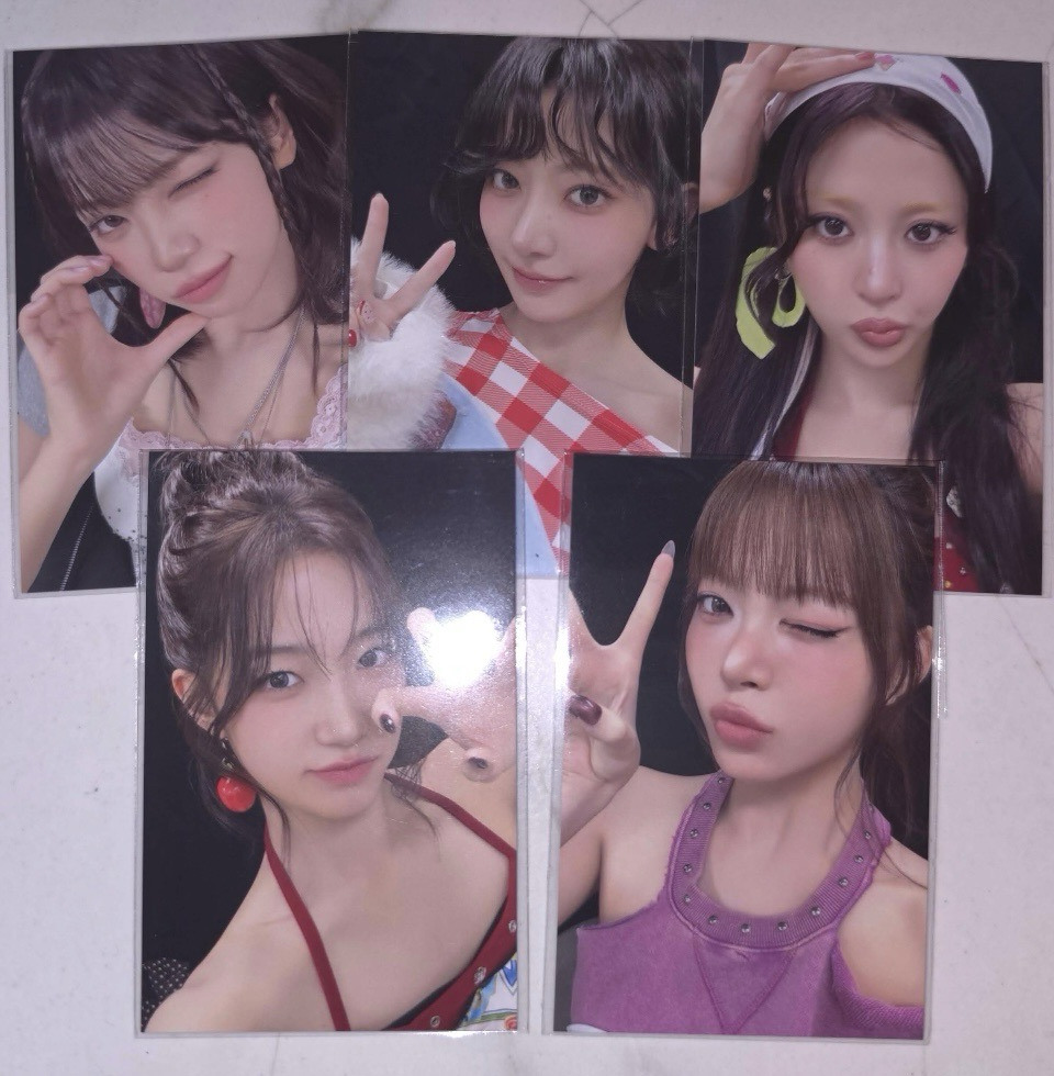 娃一套 滿額卡 采源扇套 采源 櫻花 允真 一葉 恩採扇套