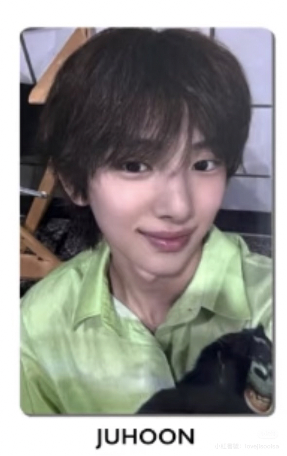 金主訓1.0打歌卡