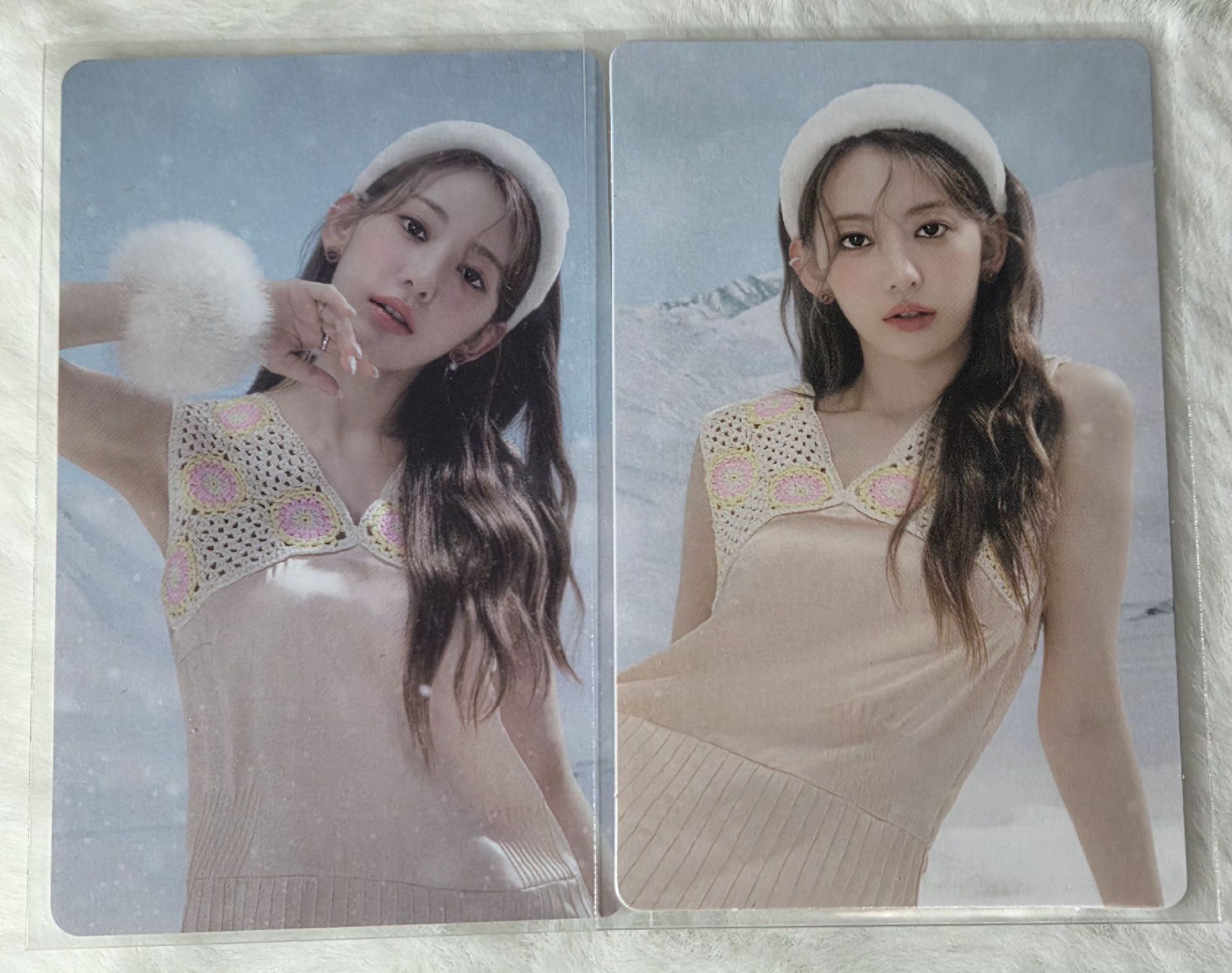 櫻 antifragile wvs單封預售