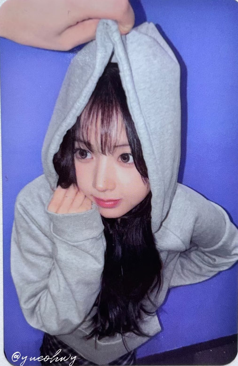 ms 線上 20.0 簽售卡 嗷嗚友圭