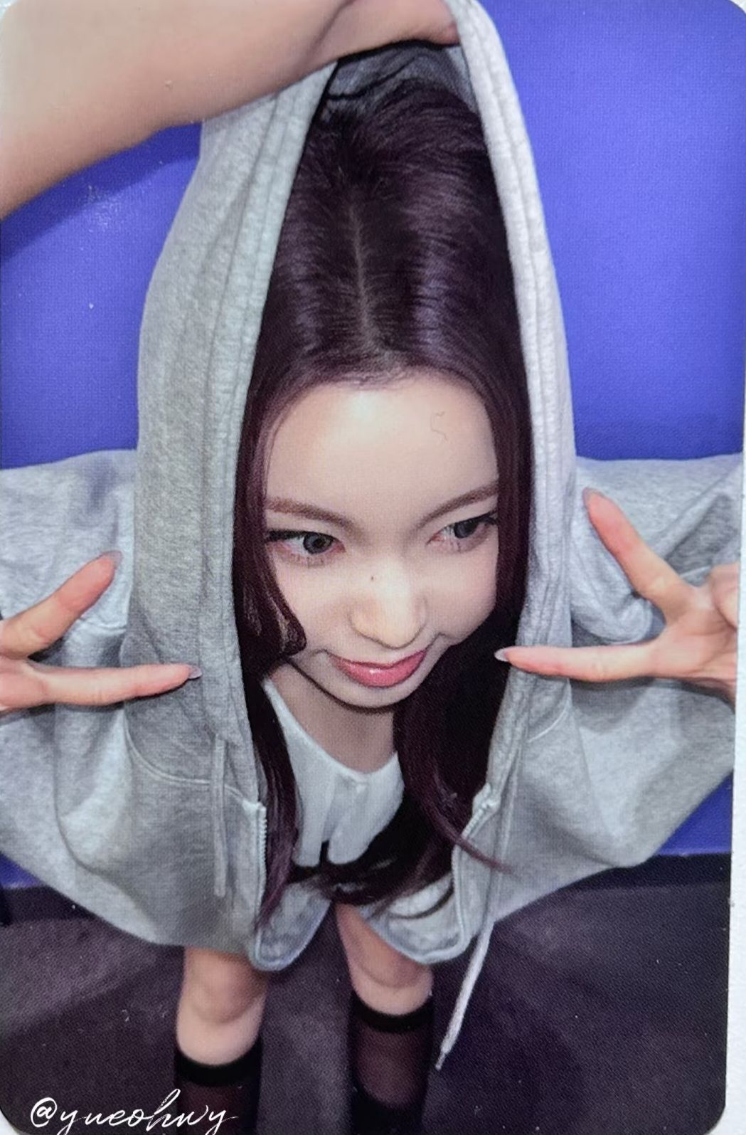 ms 線上 20.0 簽售卡 嗷嗚友圭