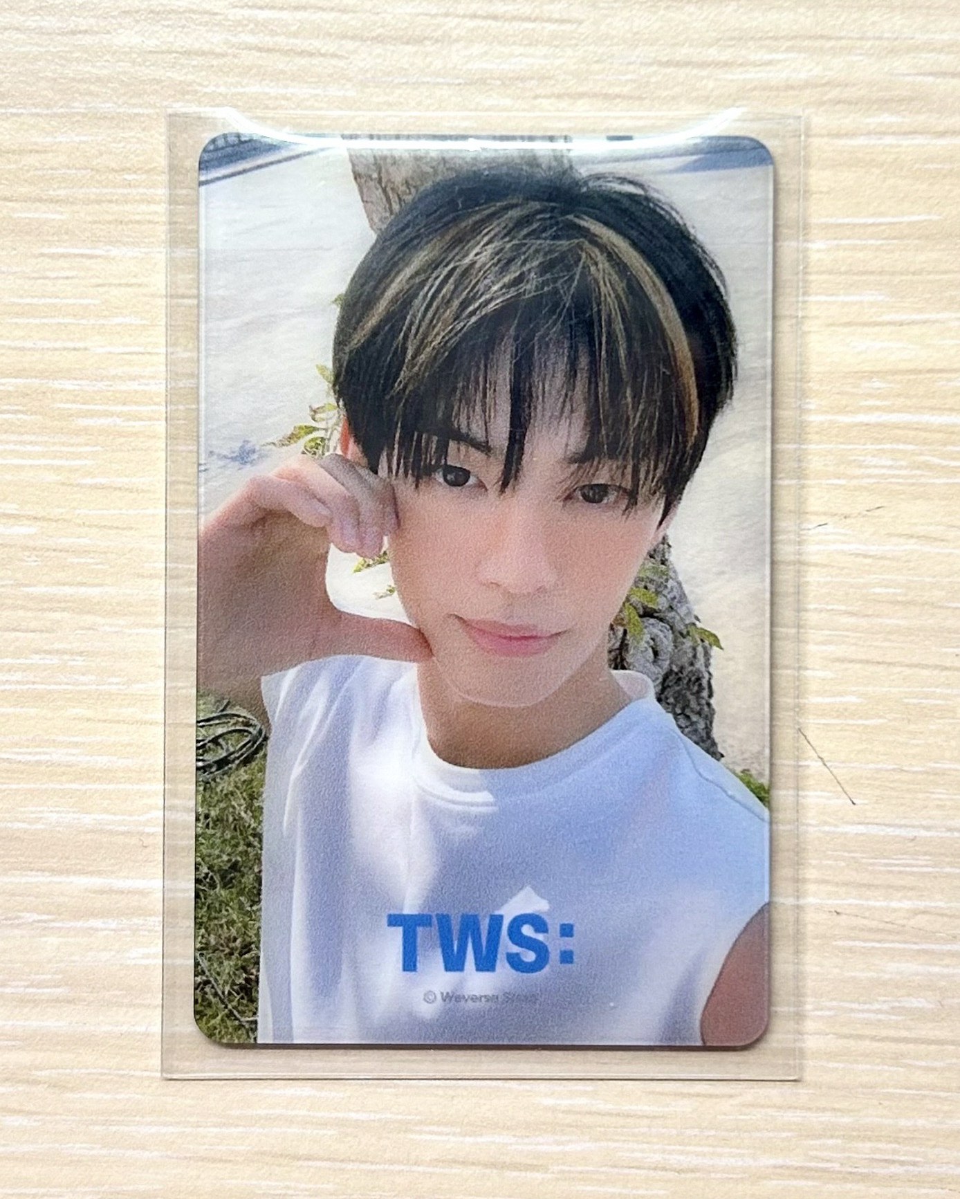 道勳 迷二wvs特典鏡子卡