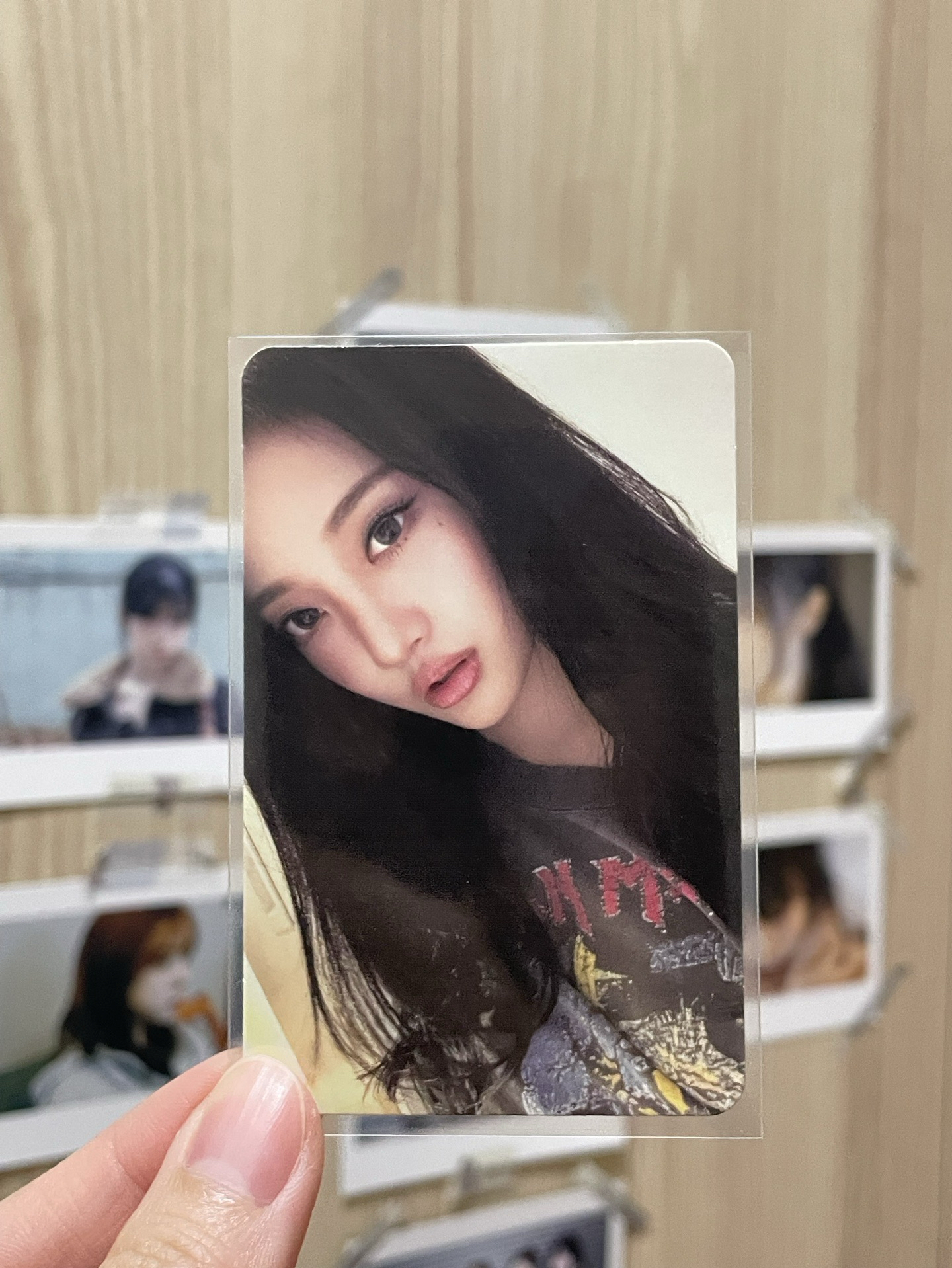 whiplash 快閃卡包卡寧2