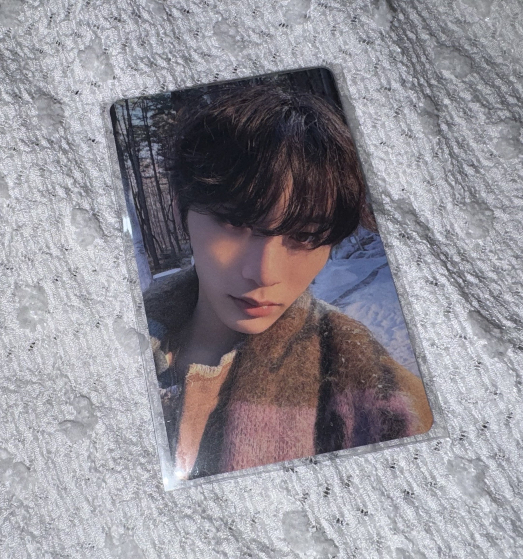 🌟只今愛 日咖抽選 泰山