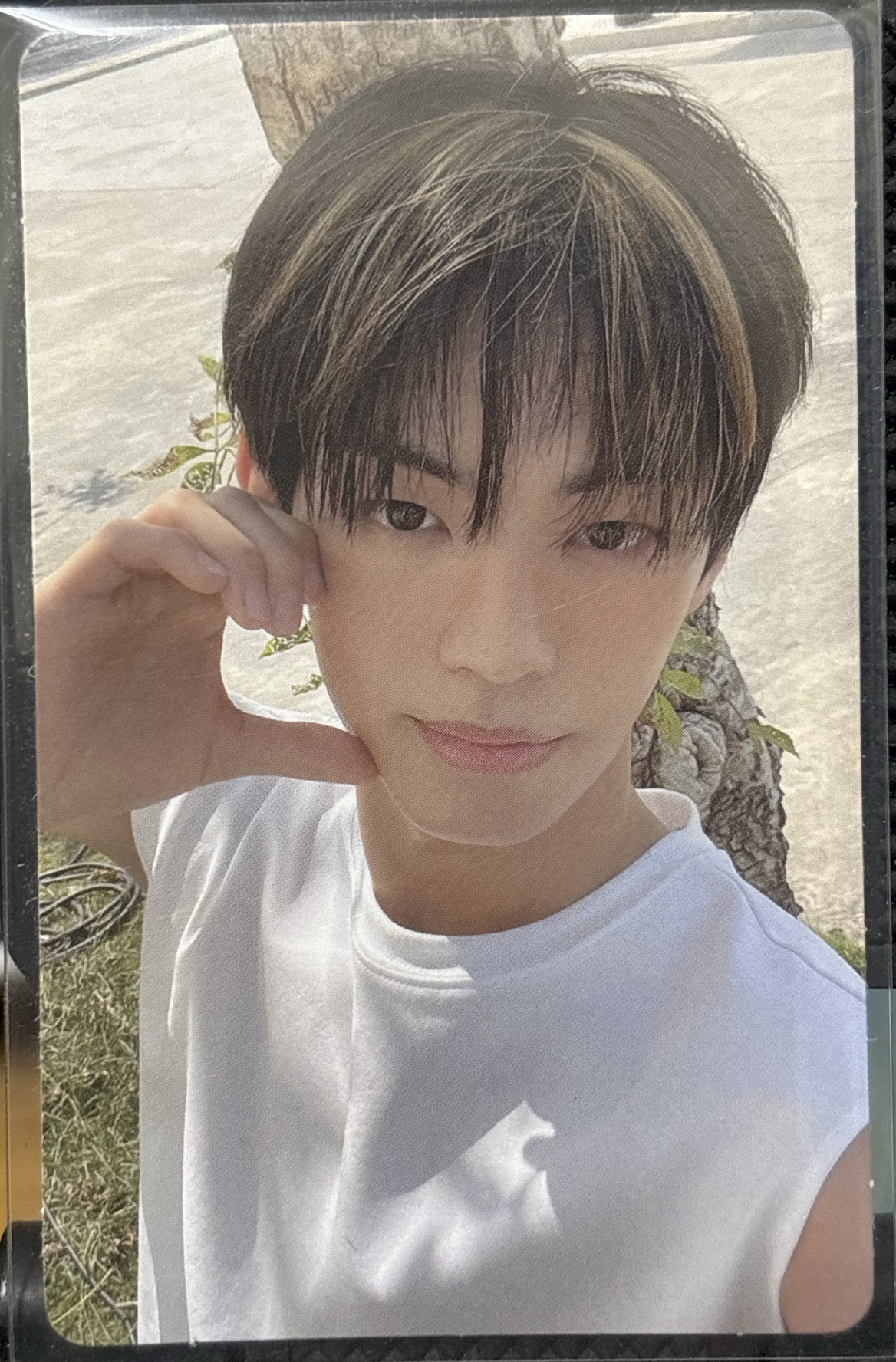 道勳WVS預售特典卡