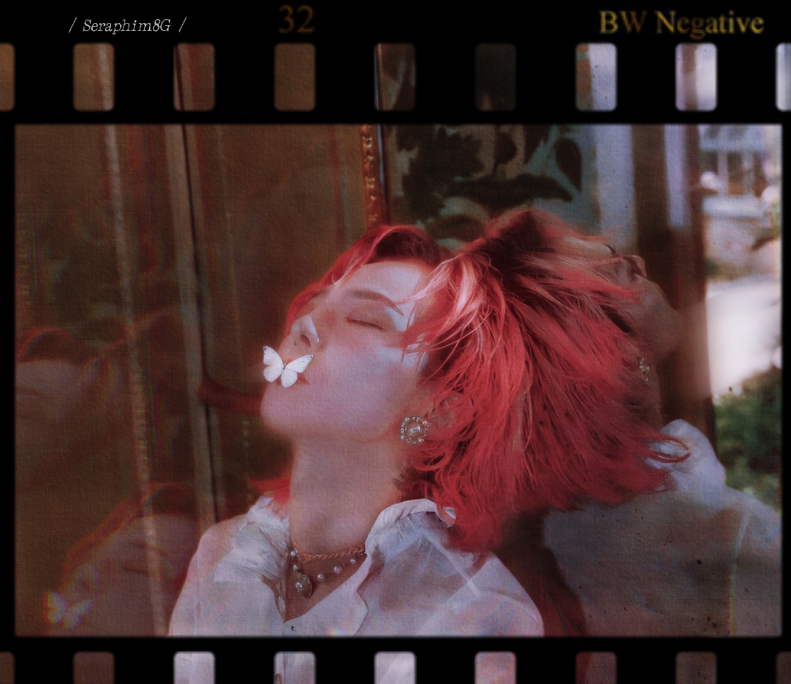 Chia（現貨48小時內出貨）