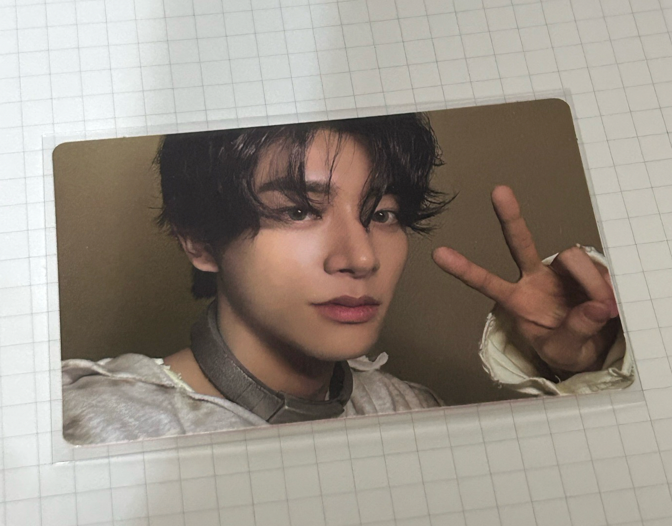 幸福就是喵喵又汪汪啊