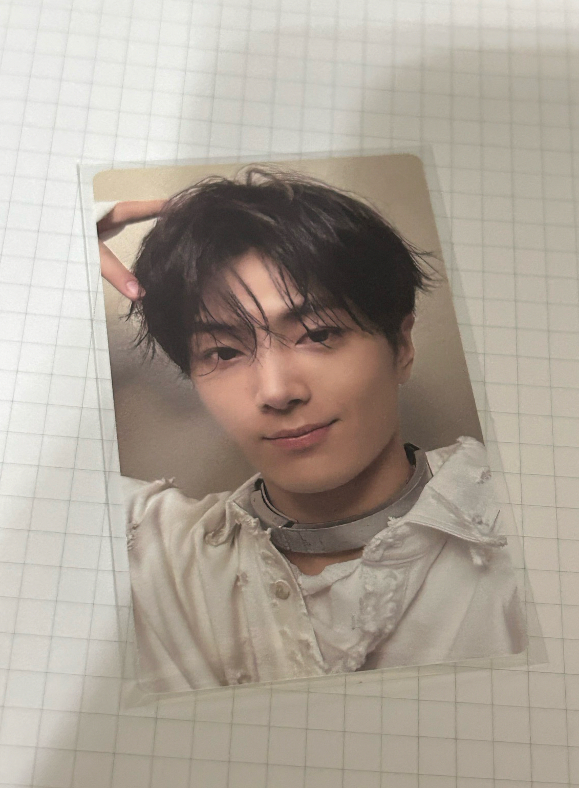 幸福就是喵喵又汪汪啊