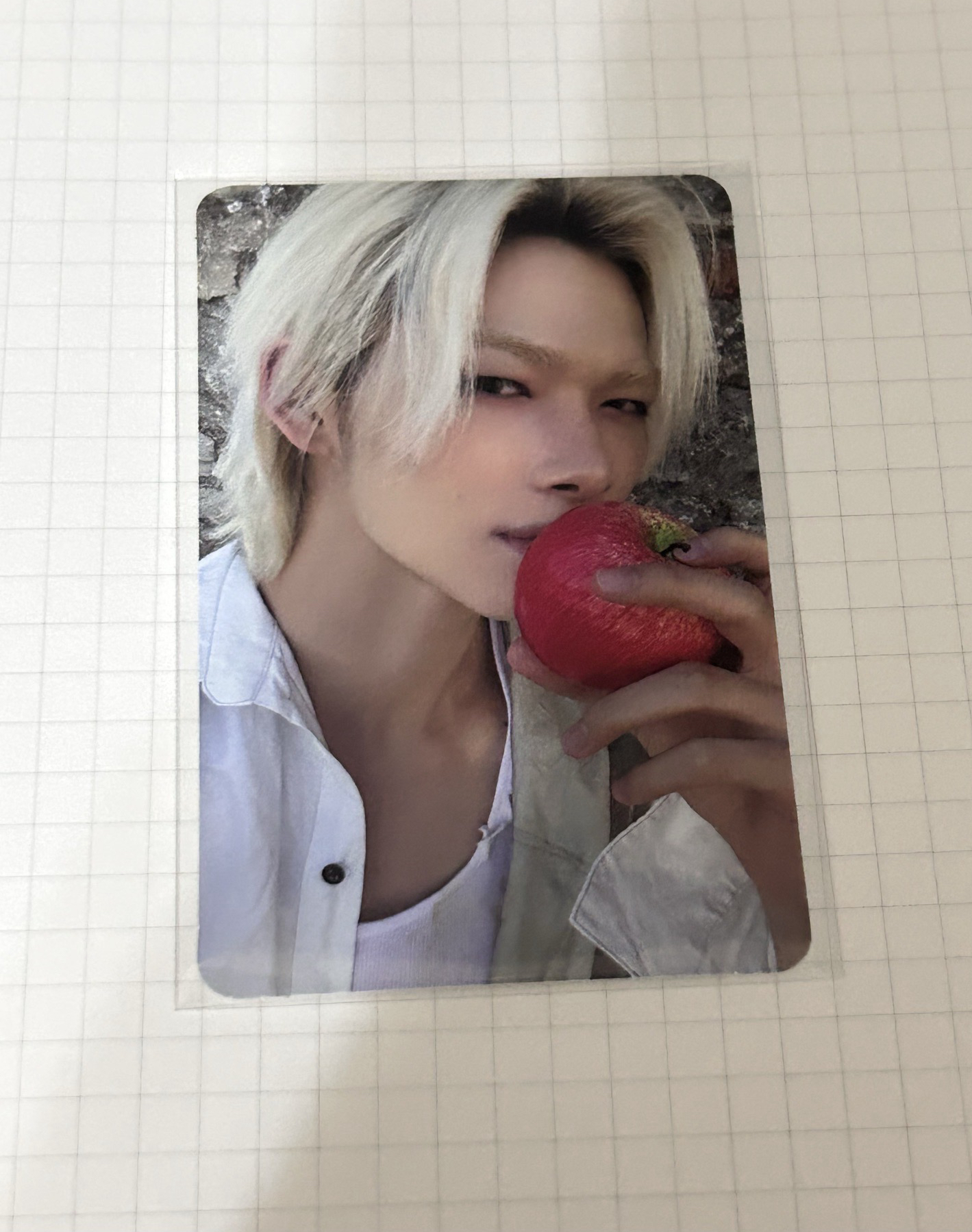 一天一蘋果 鴨鴨靠近我