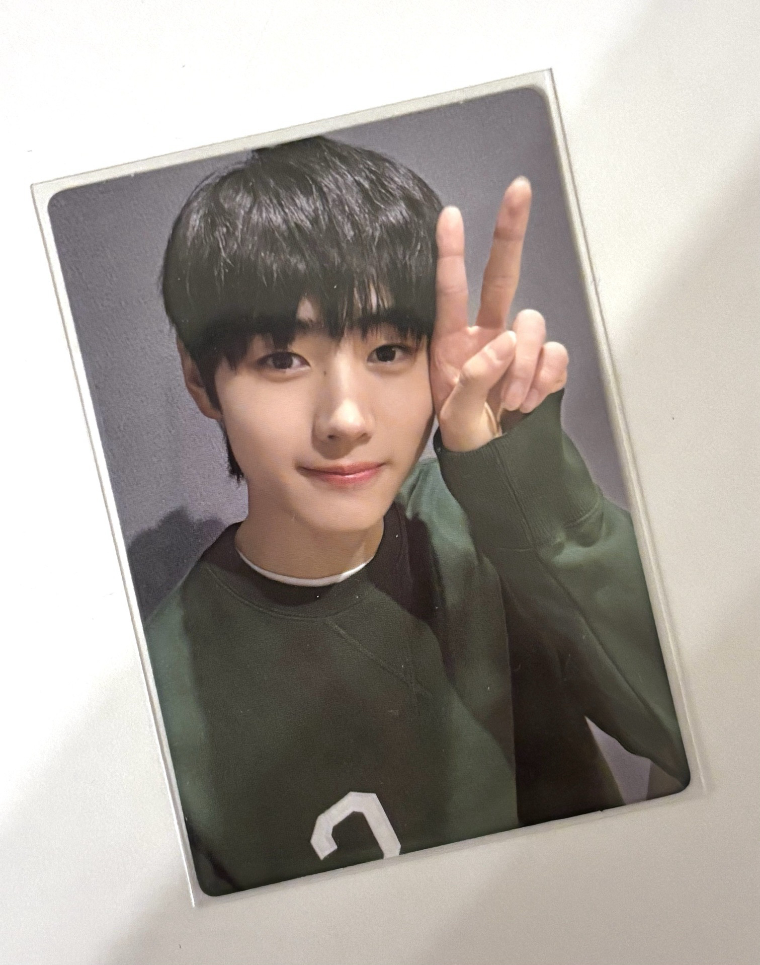 一期會員禮小兔訓