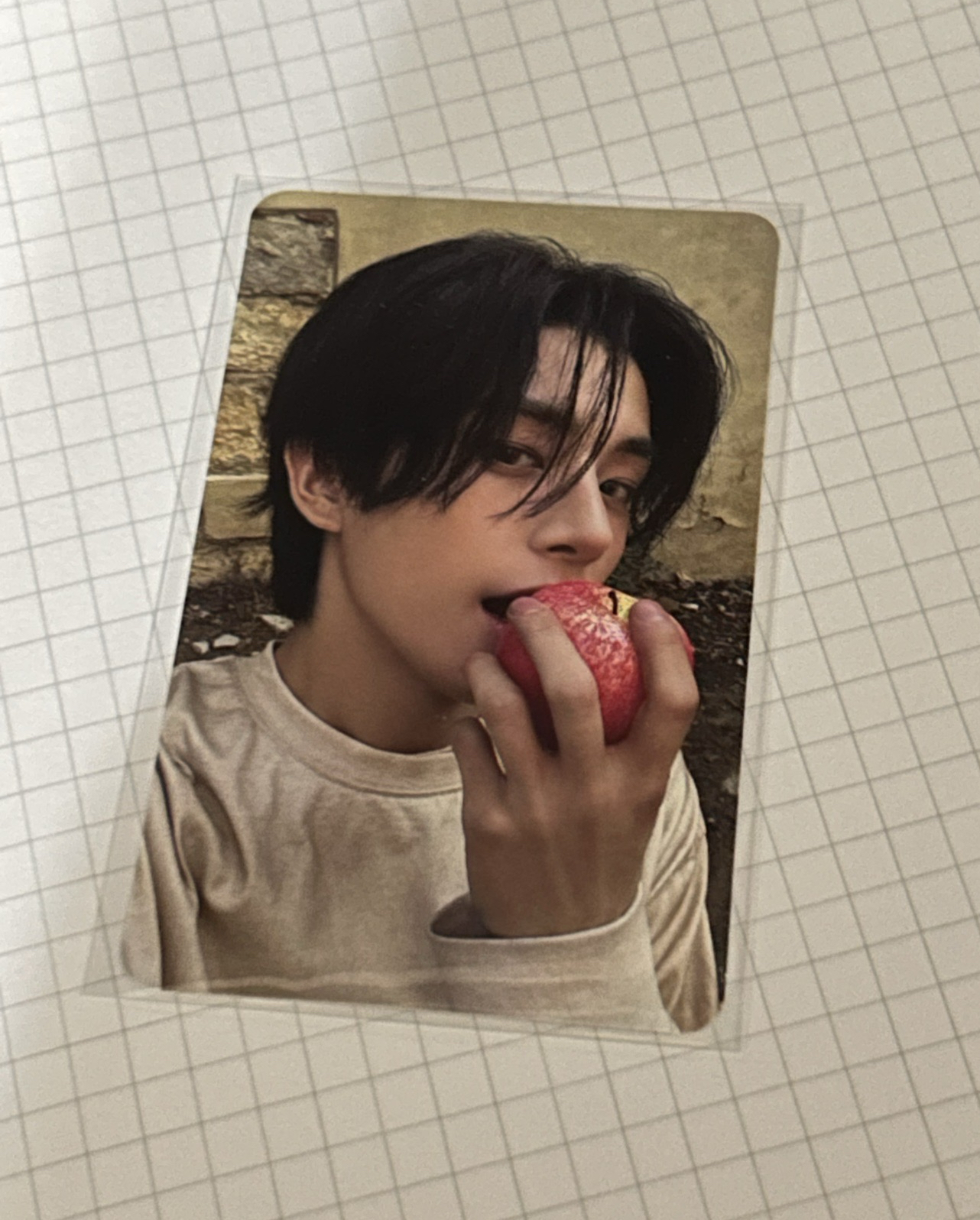 我真的要瘋掉 嬌嬌小狗吃蘋果