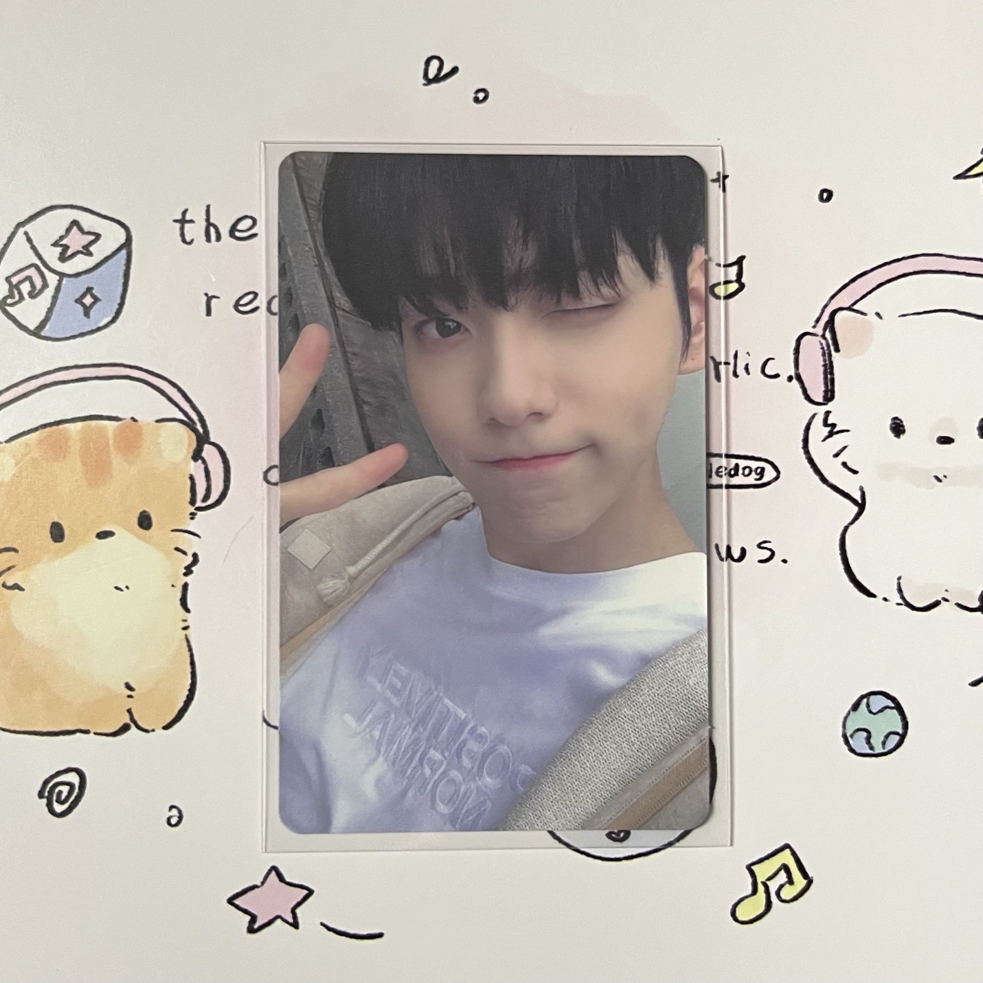 崔秀彬日咖wvs特典