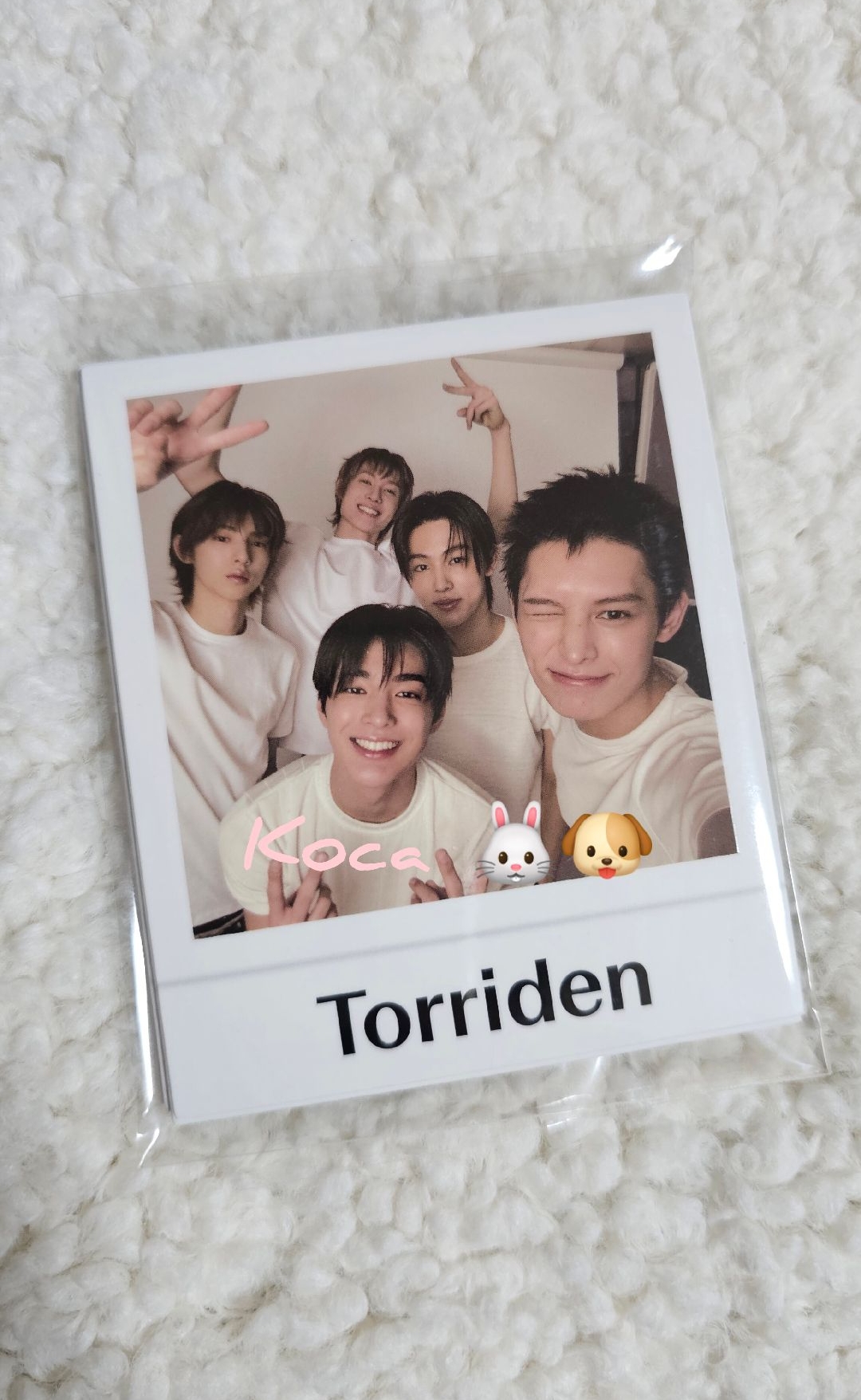 在韓現貨 Torriden 代言卡 一套6張