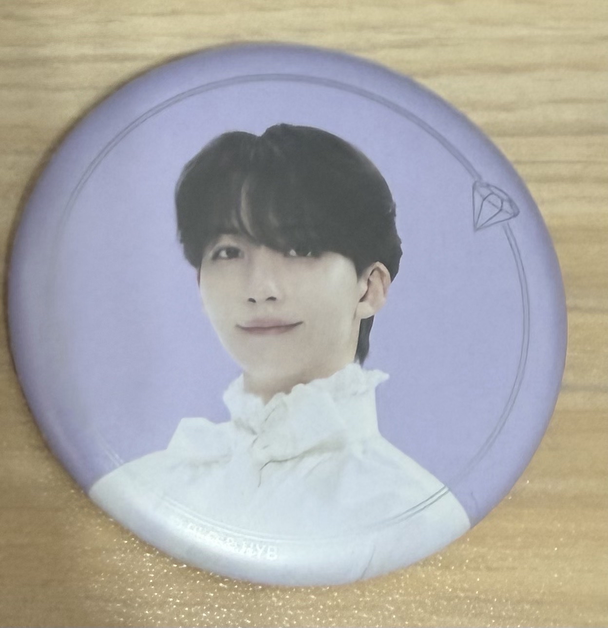 漢24年博物館徽章