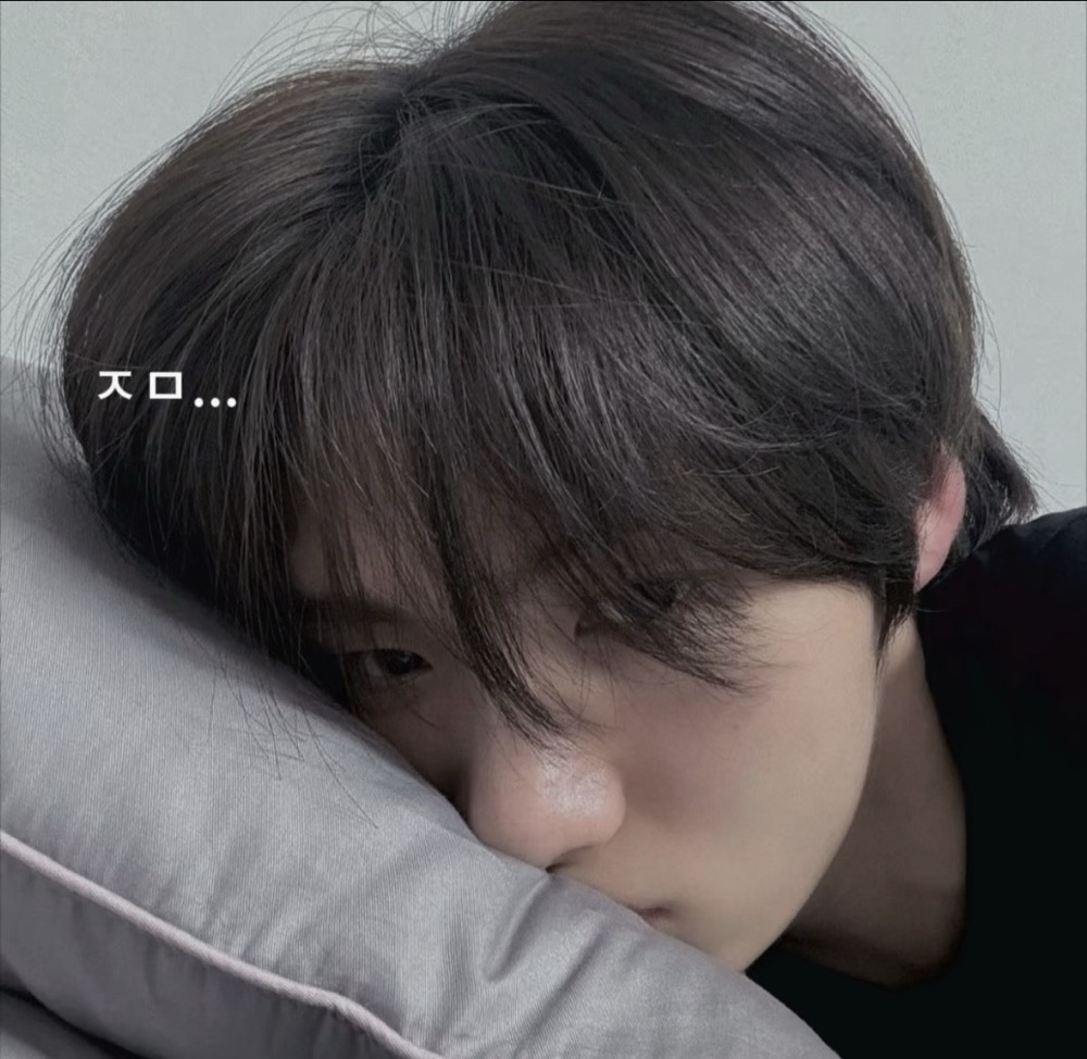 一隻豚鼠萌萌>ᴗo