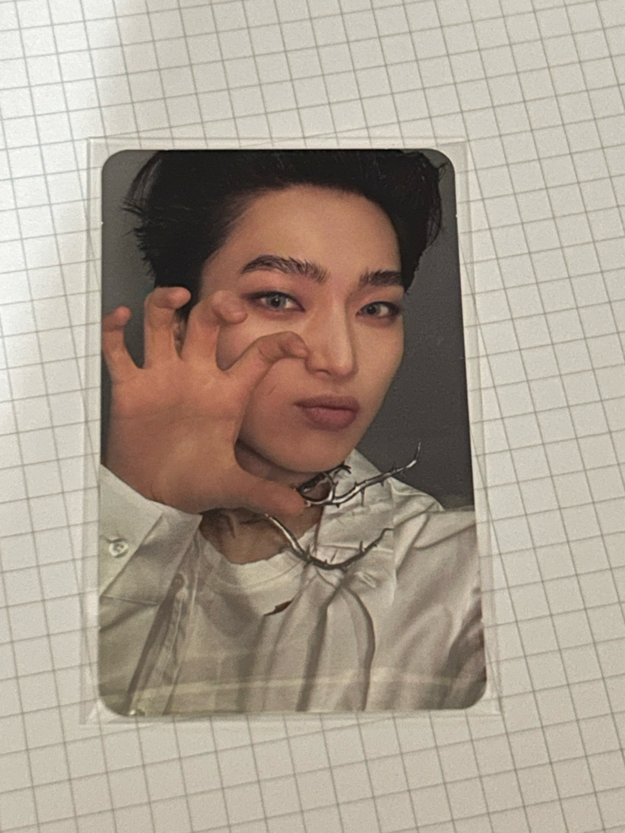 披著虎皮的狐狸