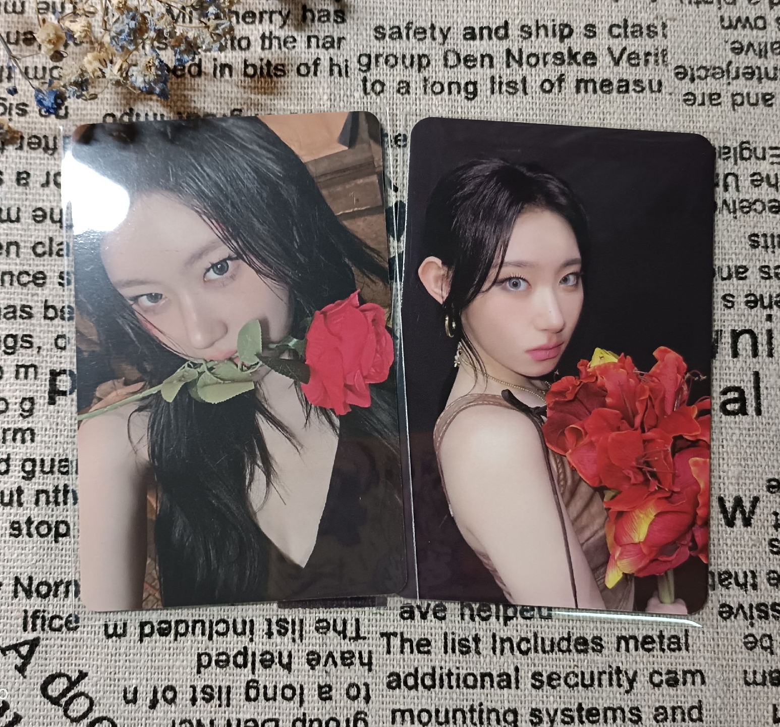 ♪喔喔喔喔，你是我的花朵~♪