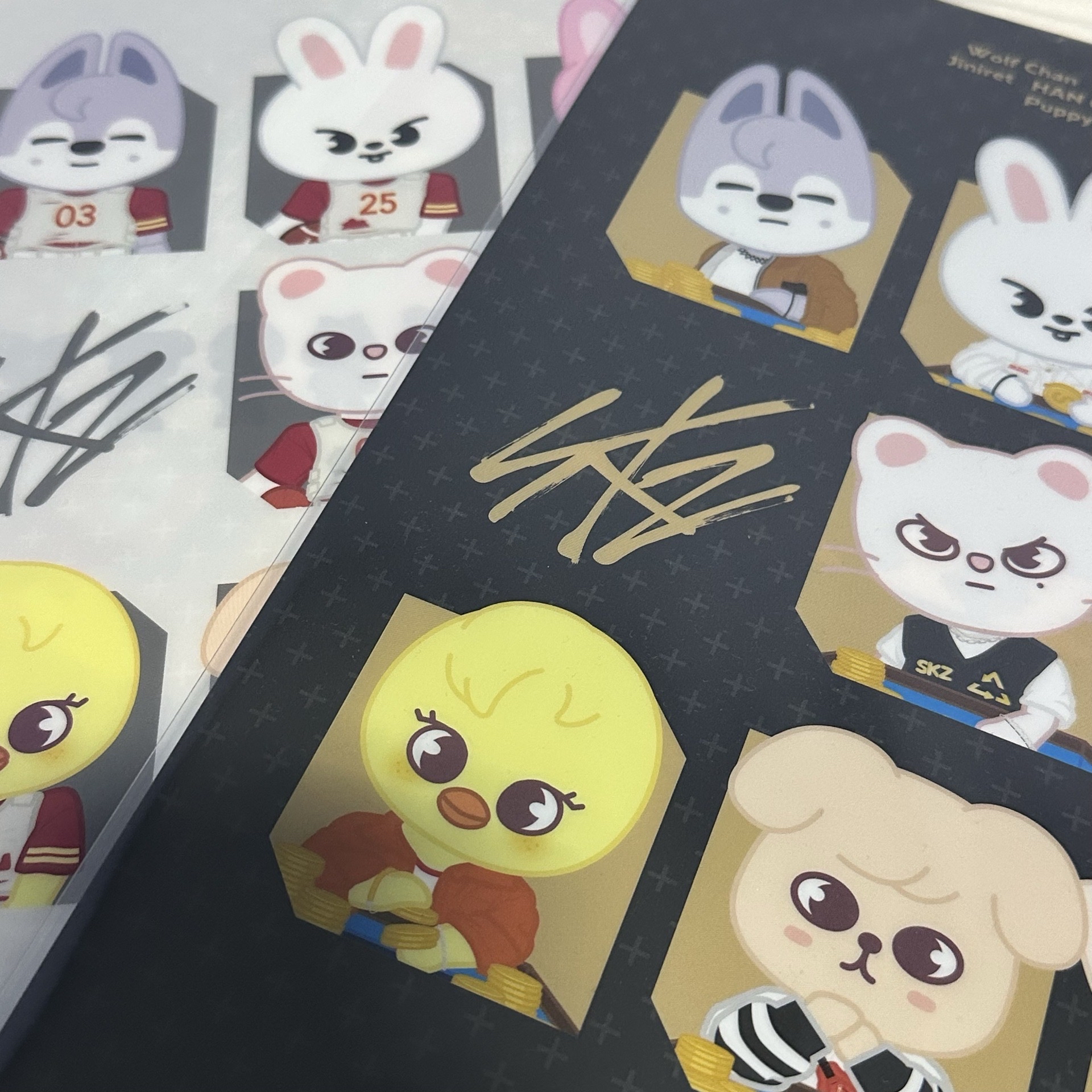 SKZ 日本展覽資料夾 C版+G版 