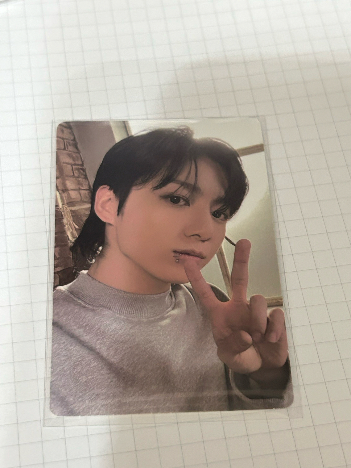 唇環呆萌兔 有沒有看過