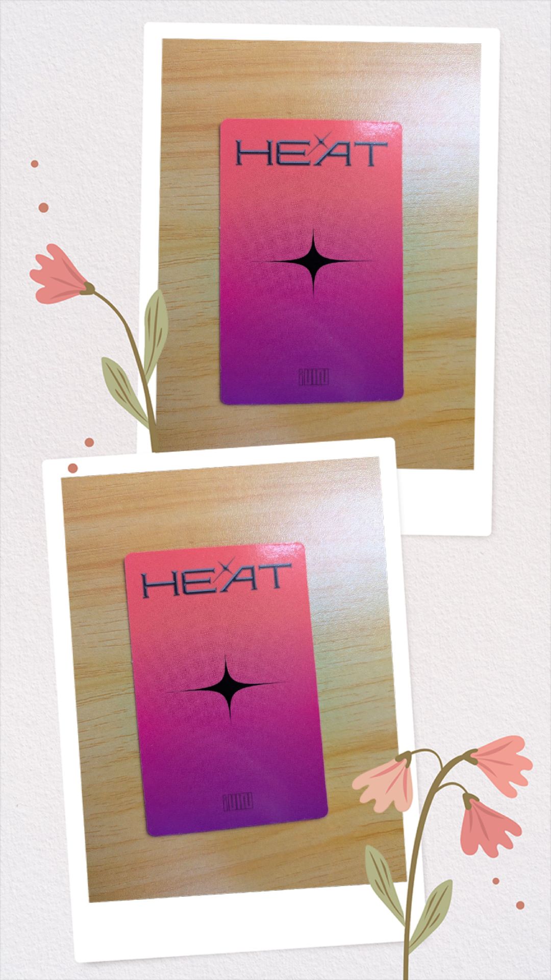 *️⃣英一 絕版 🐰🐶經典迷你盤