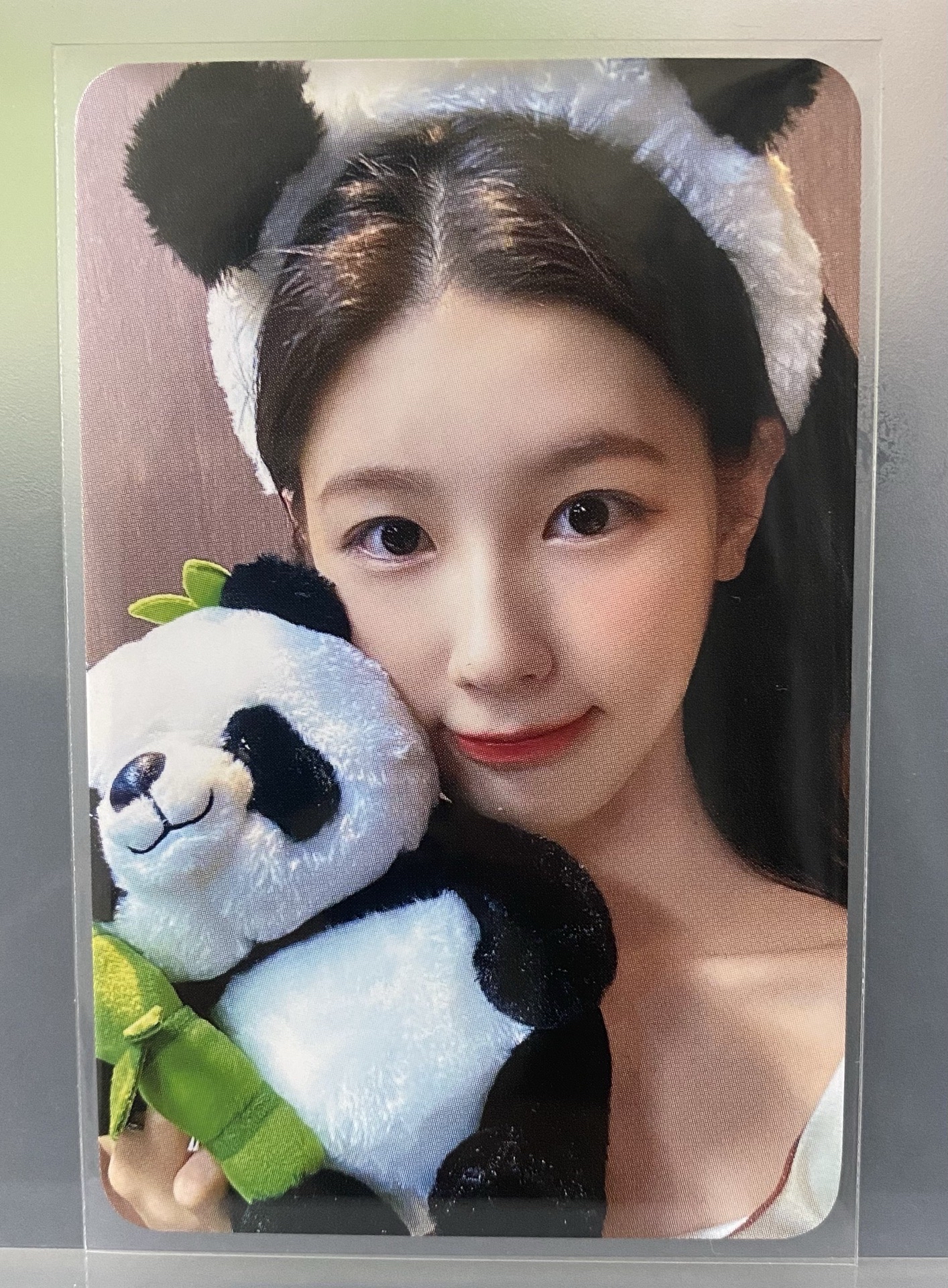 We are ms7熊貓 麵