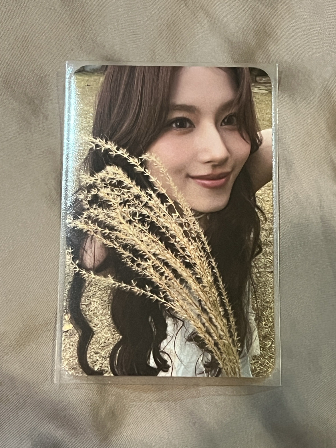 紗迷13 YES24特典卡🌾