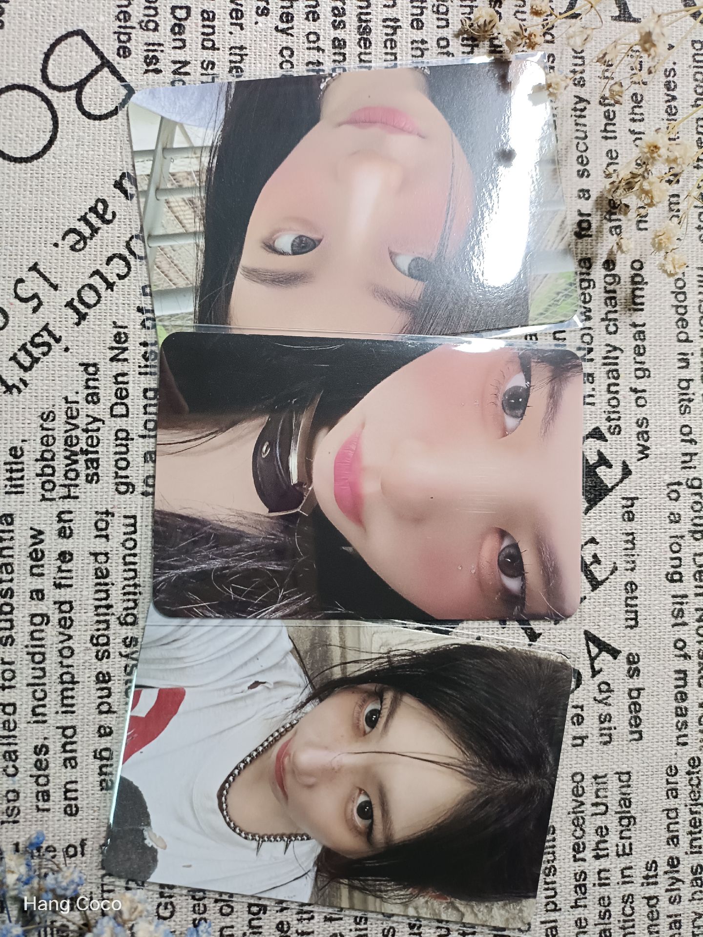 ♪幸福請響領🔔♪三隻懟臉貓貓領一鍵畢業通通抱回家🦊