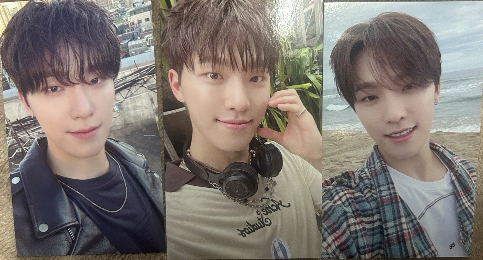 seventeen dino 日本場限