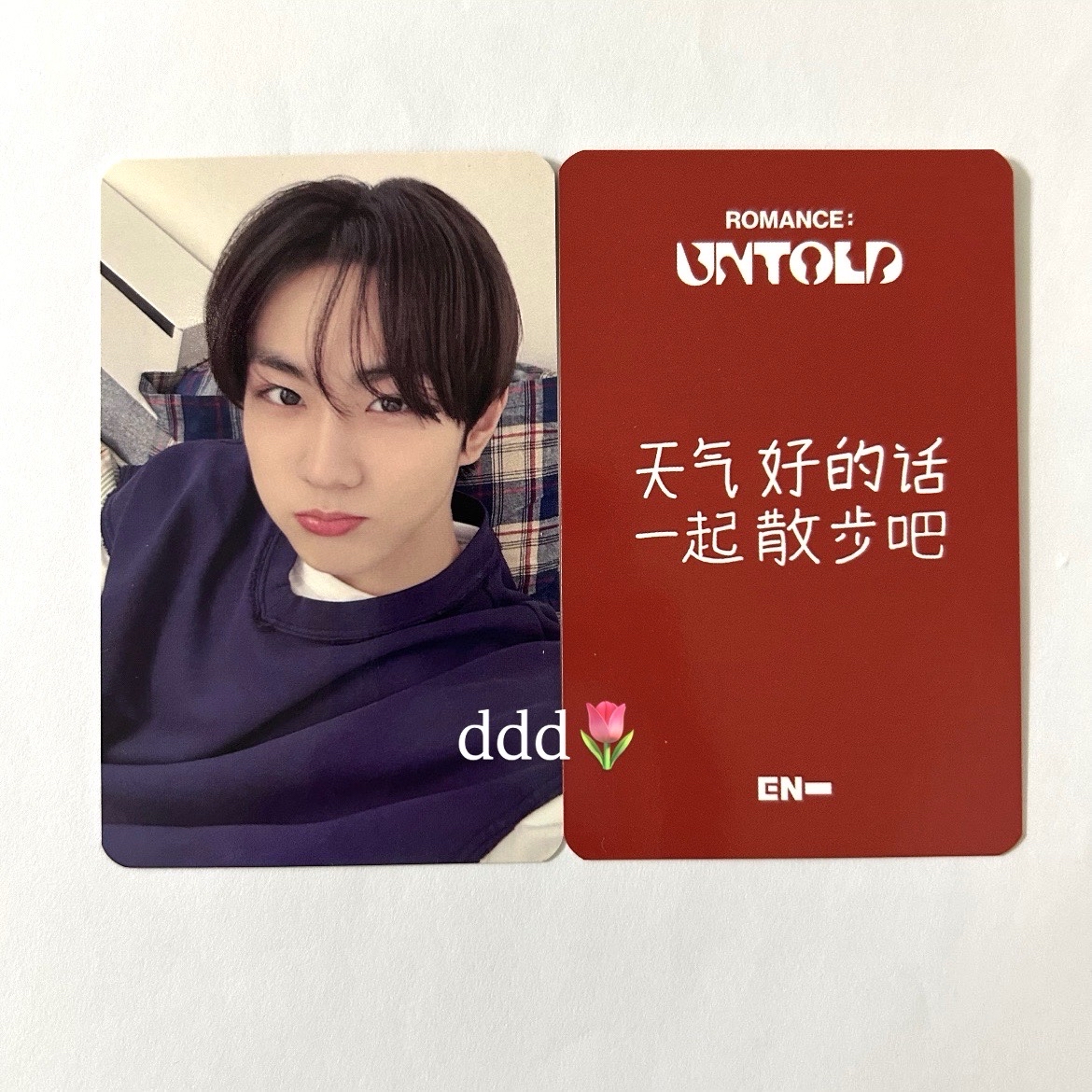 要不要和禎元小貓一起散步