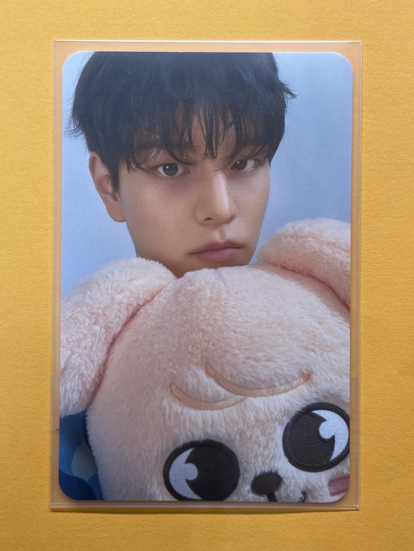 三巡 安可場滿額卡 玟