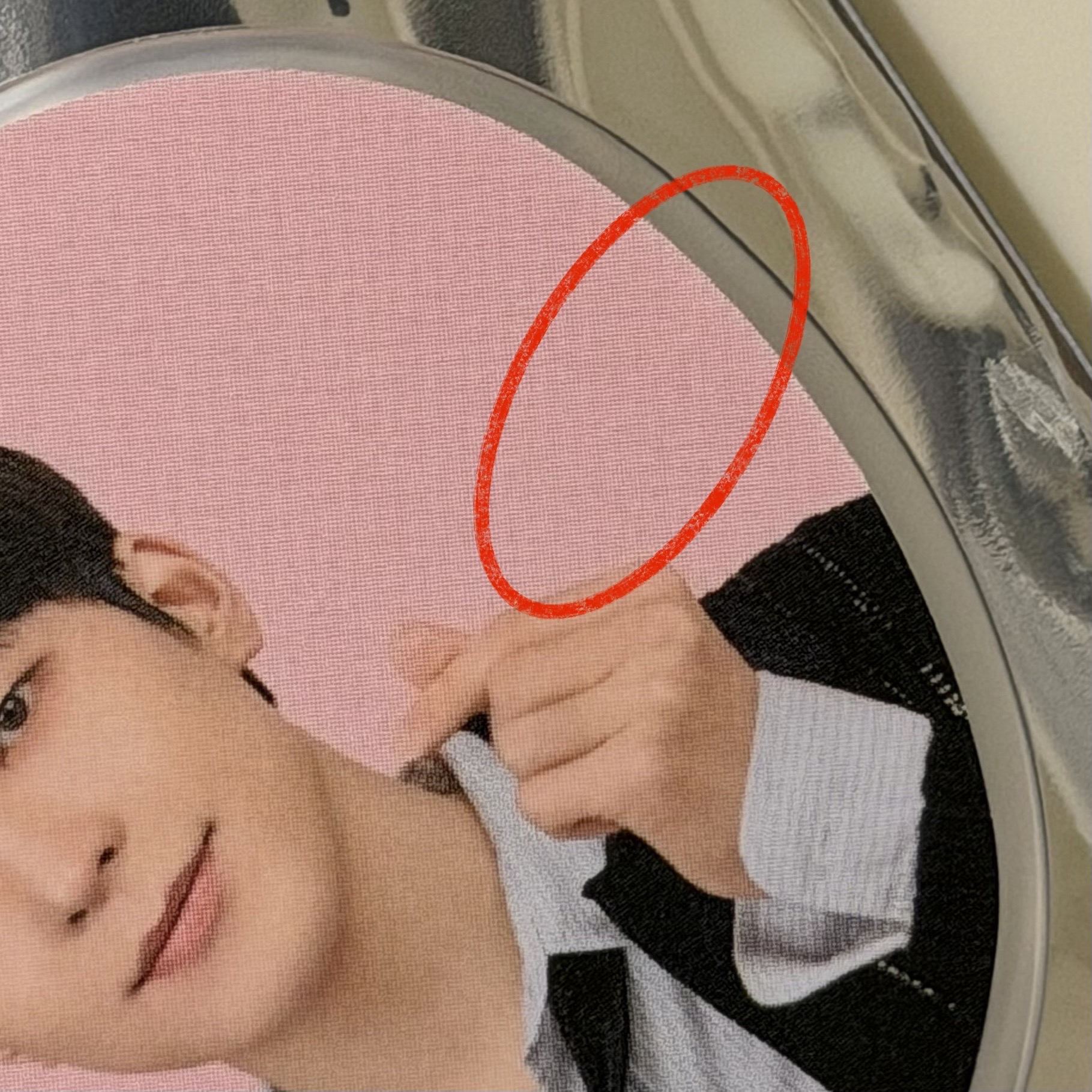 Holiday 圓小扇 標價兩隻不拆