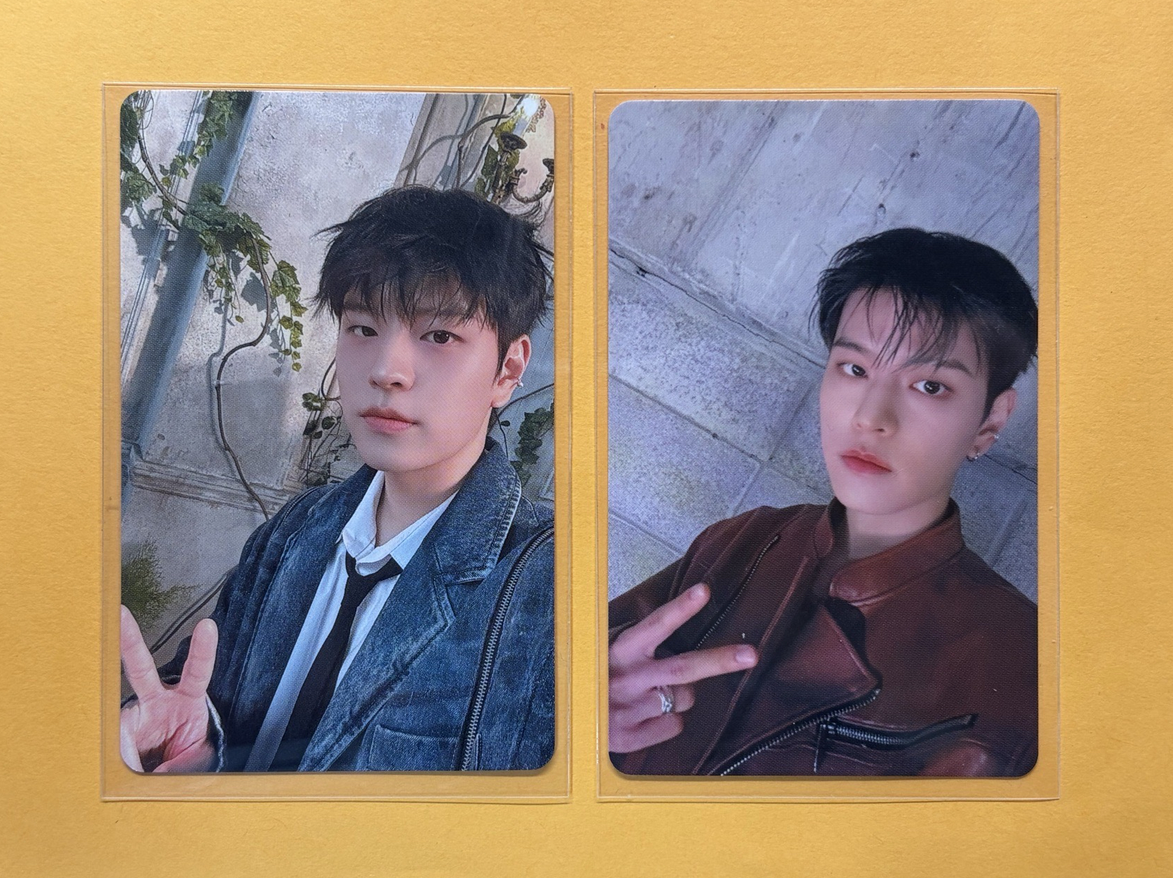 Hollow 靜岡場限+特典 玟