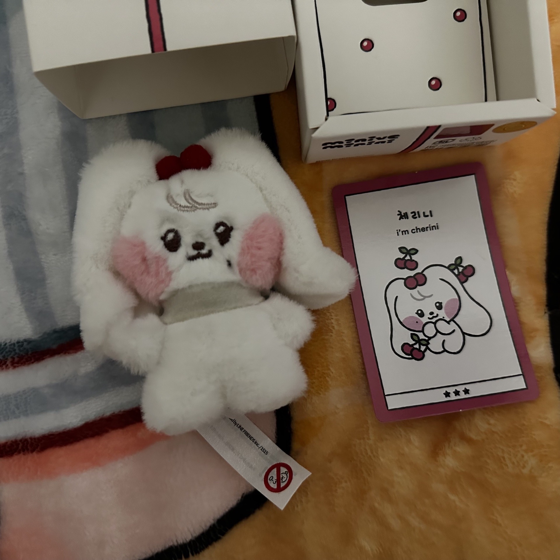 Linefriends 聯名員盒娃（綁卡）