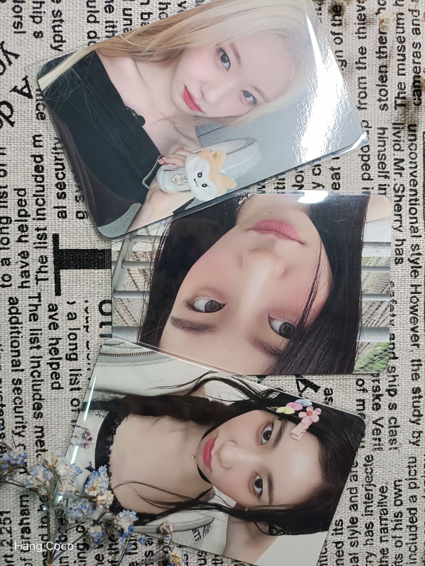 ♪美麗領子盤♪