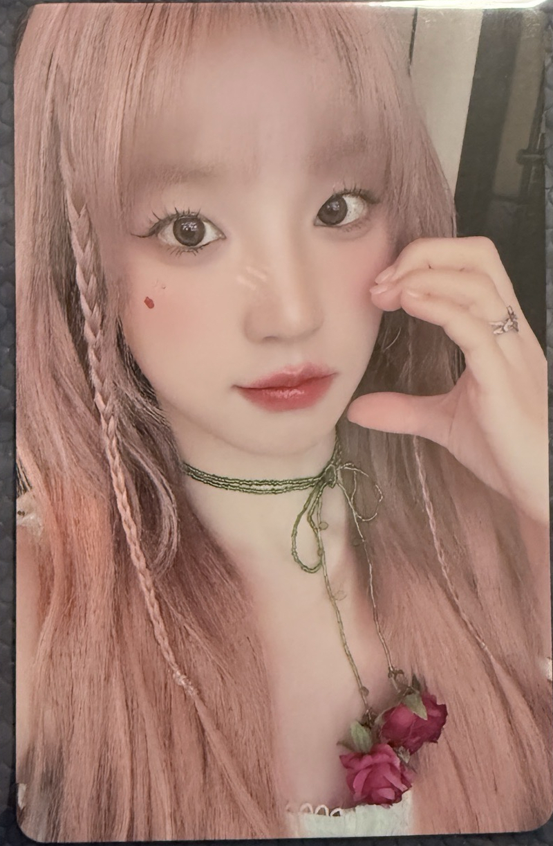 中文卡背粉髮琦！