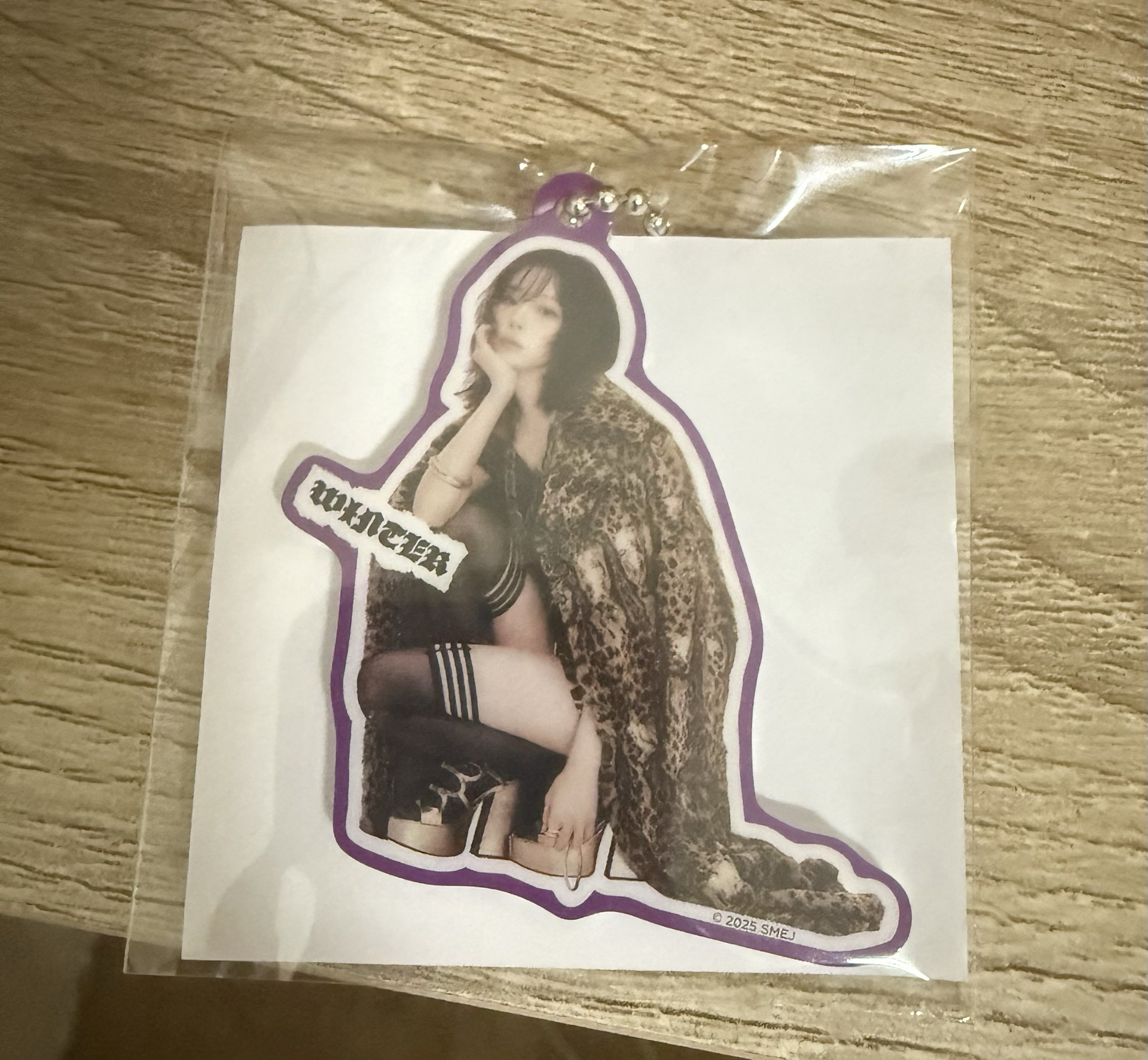 aespa 日巡扭蛋 冬吊飾