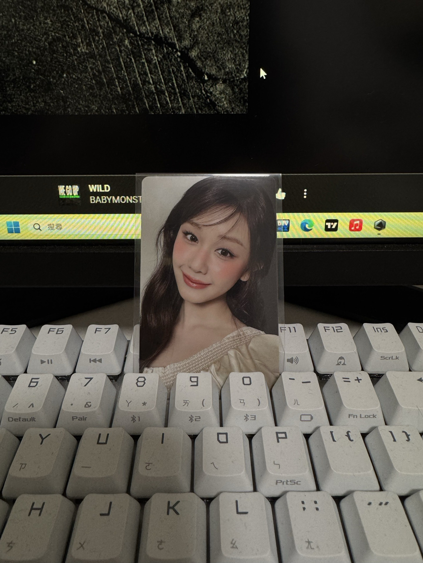 BANILA CO 4.0 代言卡 /PHARITA🦌