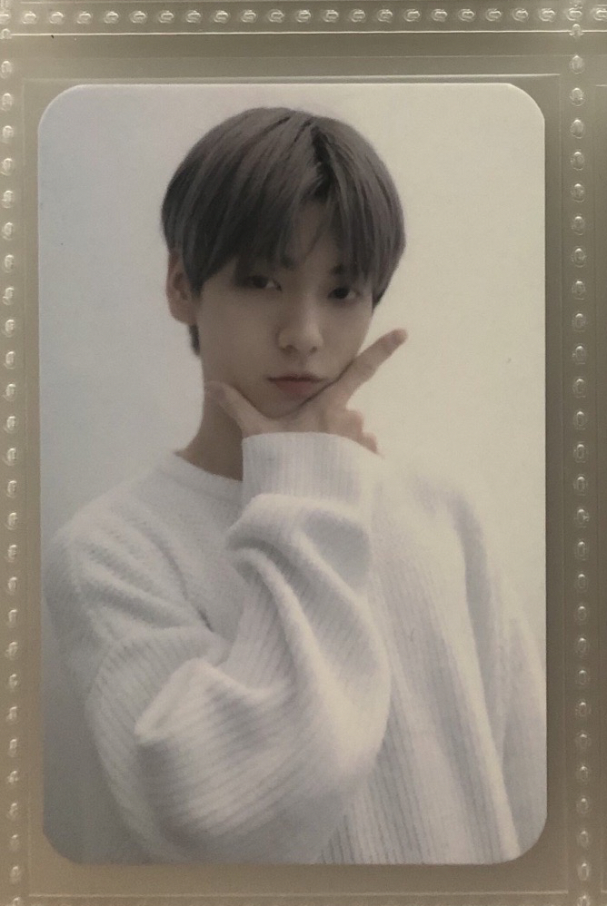 世燃夜 葡萄頭彬（多帶綁物300）