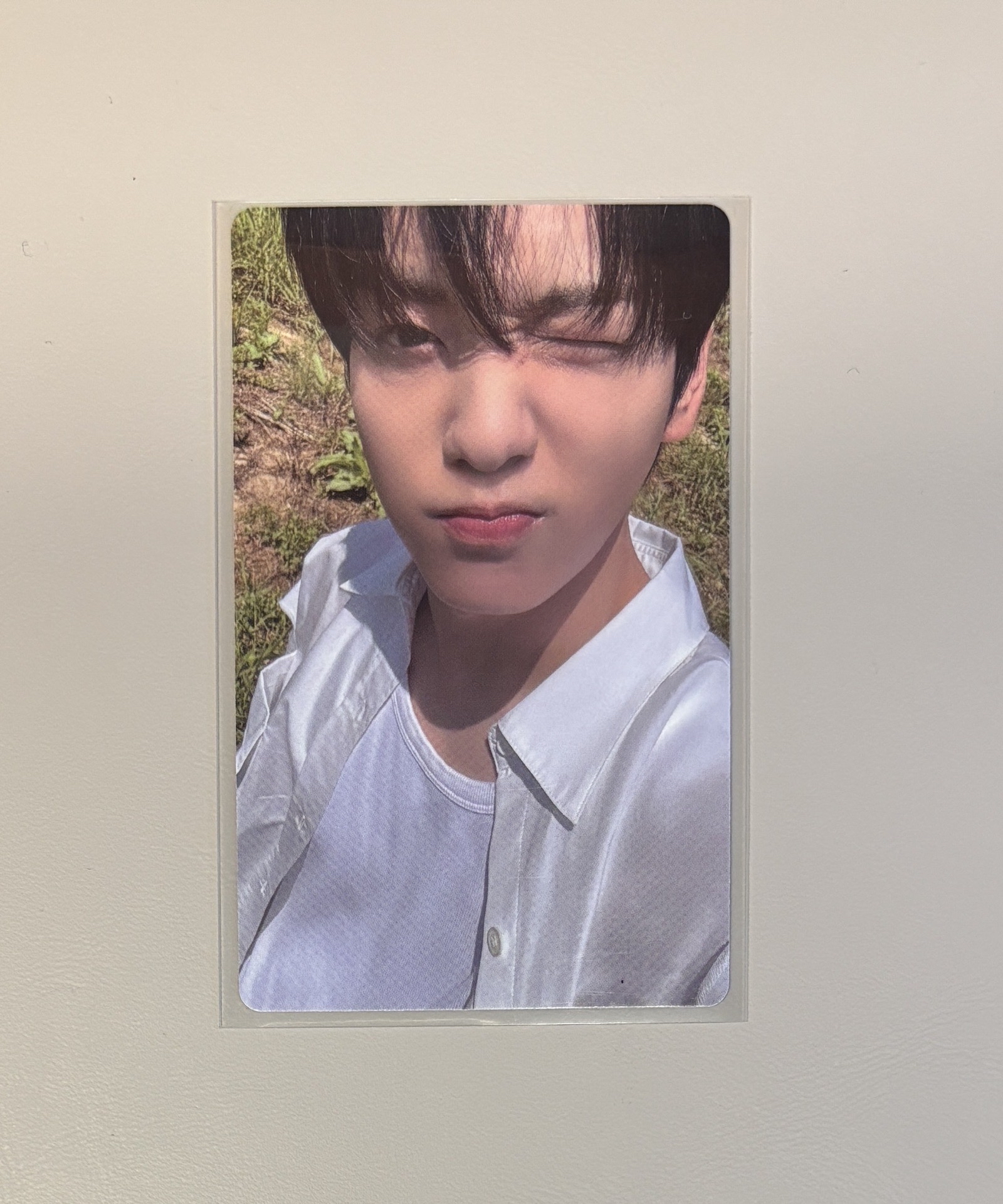 正四 wvs SC pb特典卡